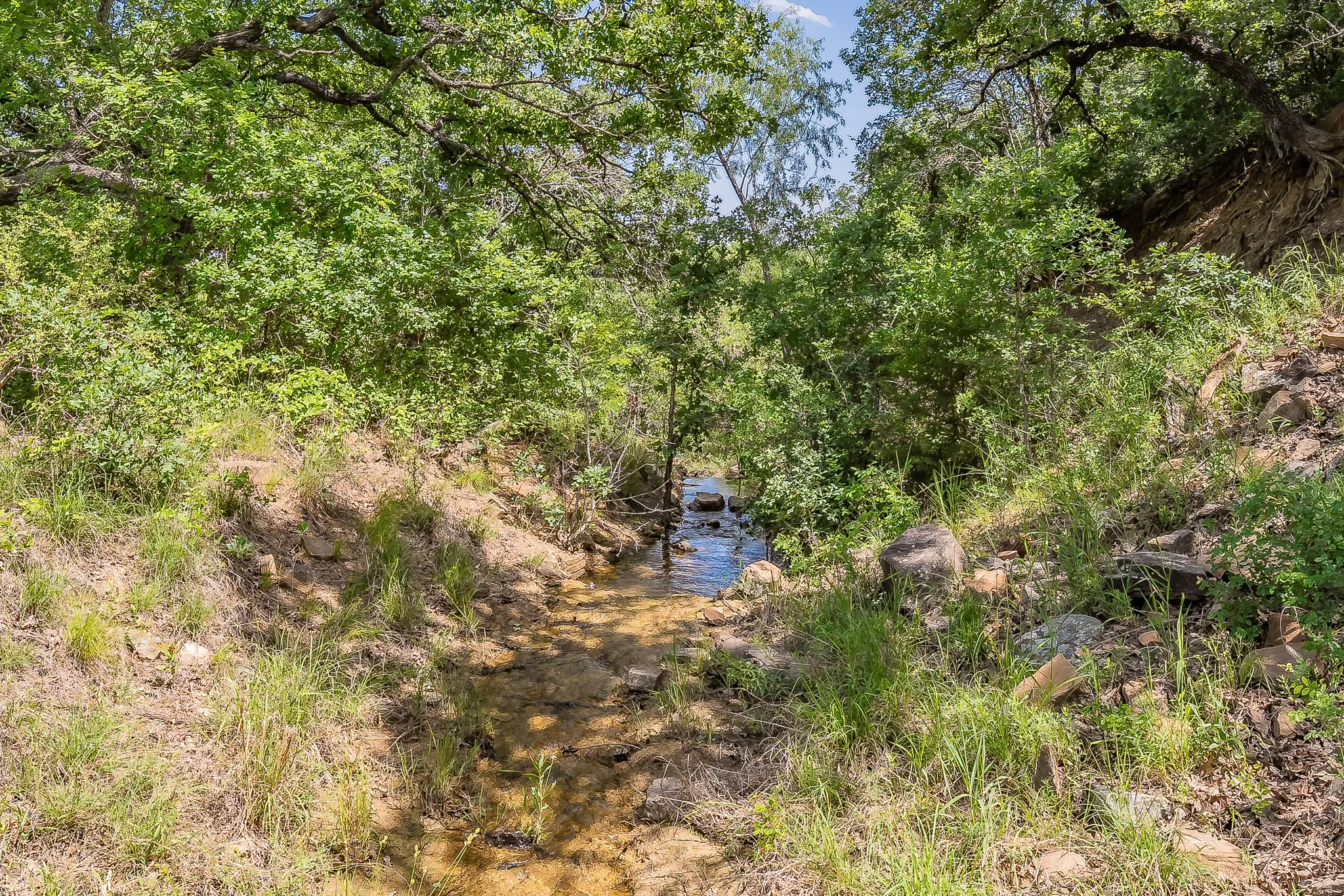 Unimproved Land For Sale in Parker County , 8955 Wolf Hollow, Millsap, Texas 76066, 0, 0, Garage spaces, 0 Sqft, built in 0, mls#21241995, Real Estate Agent in Millsap, Homes For Sale in Parker county, Homes For Sale in Millsap, Realtor in Millsap Texas, Real Estate Brokerage Independent Realty Texas, Luminita Cordes Realtor