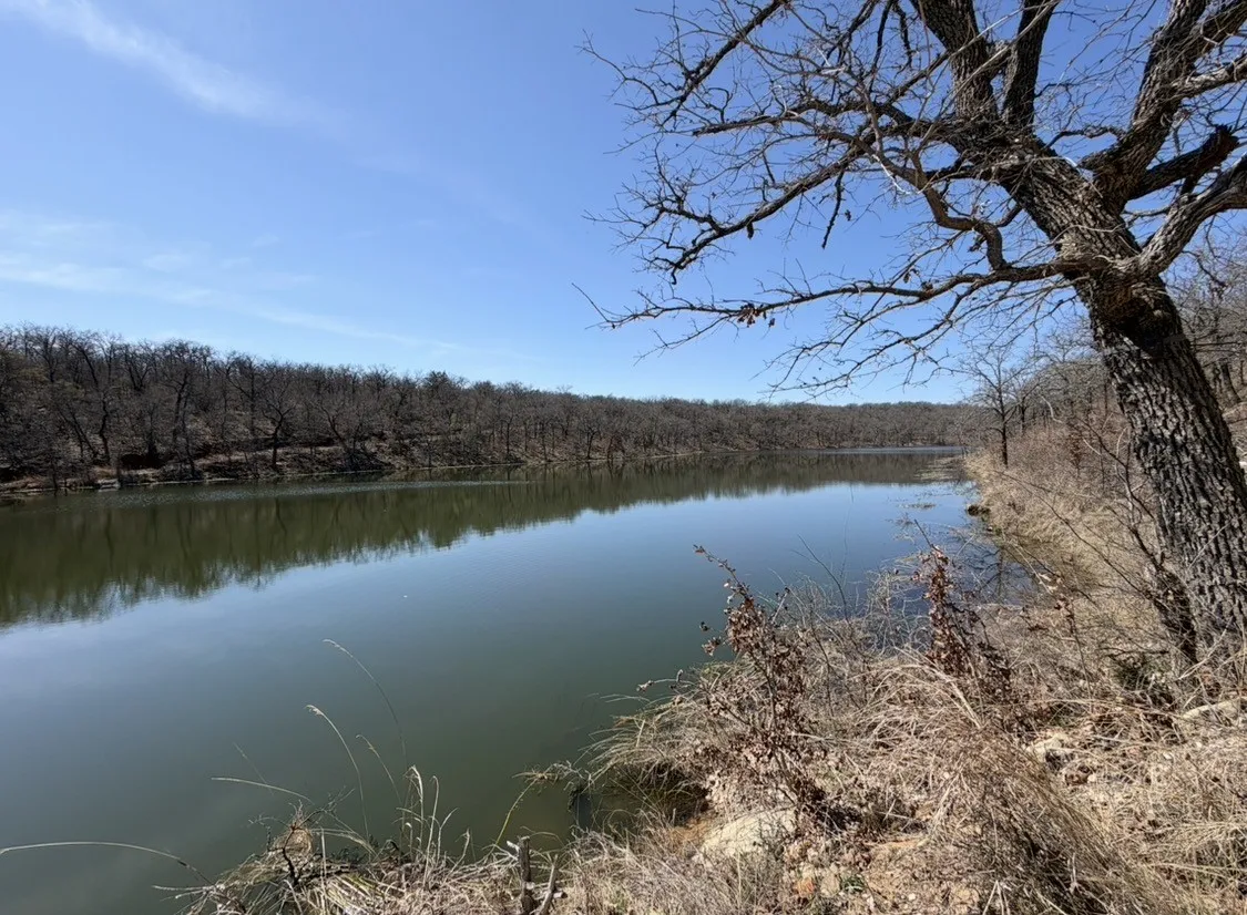 Unimproved Land For Sale in Parker County , 8955 Wolf Hollow, Millsap, Texas 76066, 0, 0, Garage spaces, 0 Sqft, built in 0, mls#21241995, Real Estate Agent in Millsap, Homes For Sale in Parker county, Homes For Sale in Millsap, Realtor in Millsap Texas, Real Estate Brokerage Independent Realty Texas, Luminita Cordes Realtor