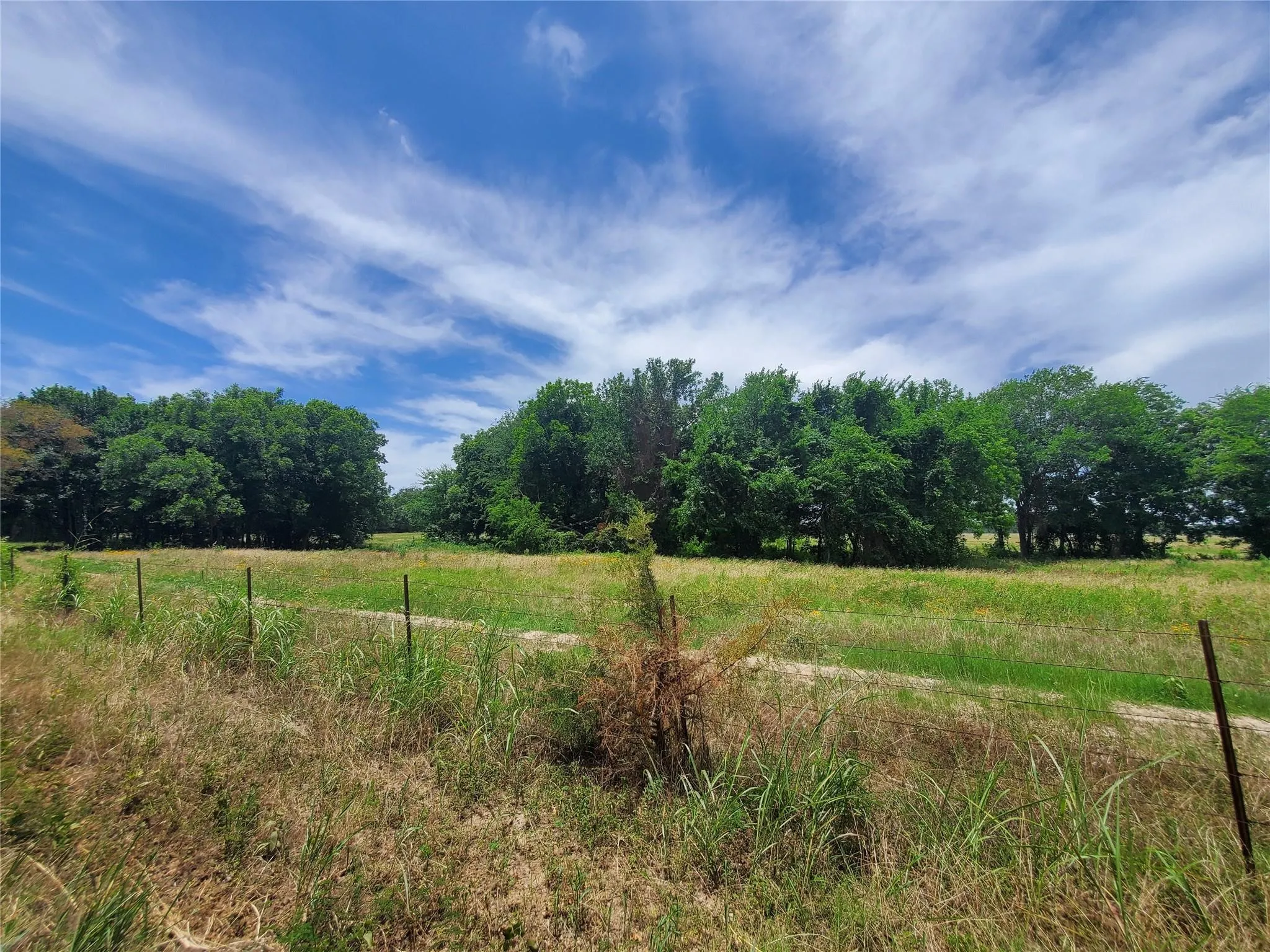 Unimproved Land For Sale in Hopkins County , TBD COUNTY ROAD 3561, Sulphur Bluff, Texas 75481, 0, 0, Garage spaces, 0 Sqft, built in 0, Price $114,990, mls#21223470, Real Estate Agent in Sulphur Bluff, Homes For Sale in Hopkins county, Homes For Sale in Sulphur Bluff, Realtor in Sulphur Bluff Texas, Real Estate Brokerage Independent Realty Texas, Luminita Cordes Realtor