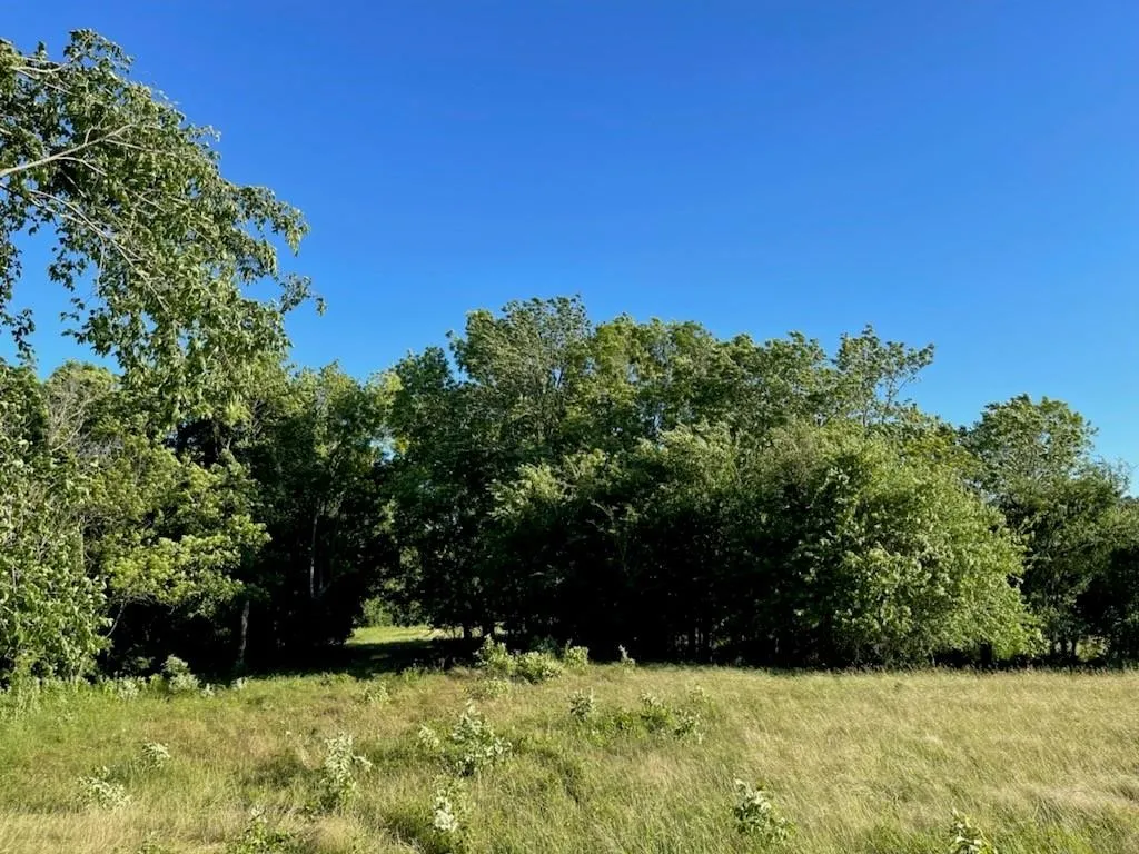 Unimproved Land For Sale in Hopkins County , TBD COUNTY ROAD 3561, Sulphur Bluff, Texas 75481, 0, 0, Garage spaces, 0 Sqft, built in 0, Price $114,990, mls#21223470, Real Estate Agent in Sulphur Bluff, Homes For Sale in Hopkins county, Homes For Sale in Sulphur Bluff, Realtor in Sulphur Bluff Texas, Real Estate Brokerage Independent Realty Texas, Luminita Cordes Realtor