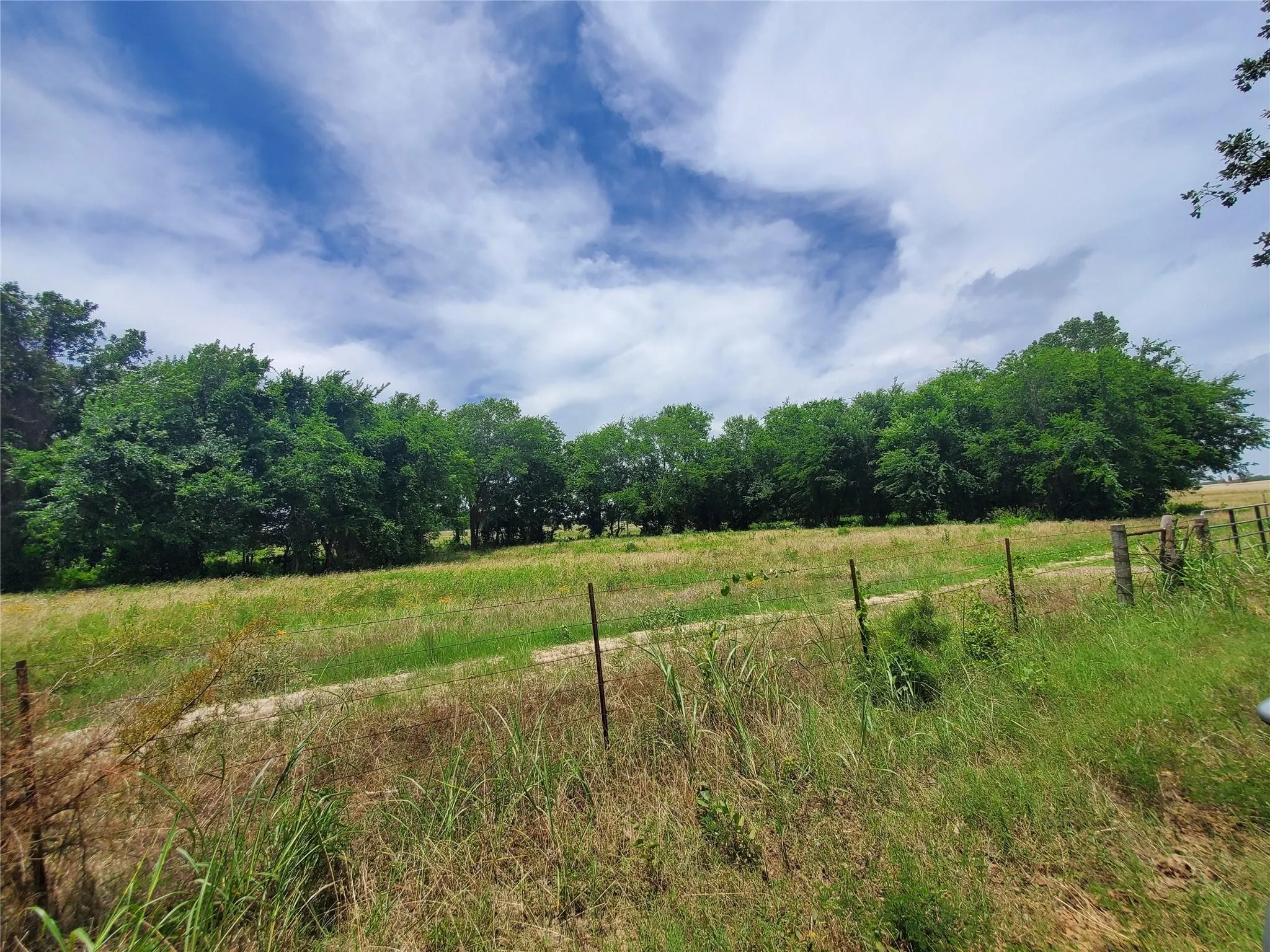 Unimproved Land For Sale in Hopkins County , TBD COUNTY ROAD 3561, Sulphur Bluff, Texas 75481, 0, 0, Garage spaces, 0 Sqft, built in 0, Price $114,990, mls#21223470, Real Estate Agent in Sulphur Bluff, Homes For Sale in Hopkins county, Homes For Sale in Sulphur Bluff, Realtor in Sulphur Bluff Texas, Real Estate Brokerage Independent Realty Texas, Luminita Cordes Realtor