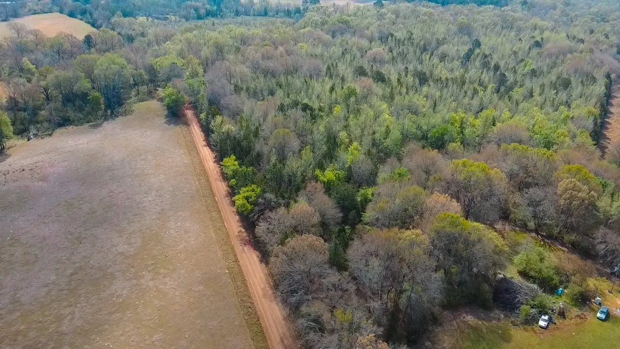 Unimproved Land For Sale in Cass County , TBD CR 4308 Reno Rd, Naples, Texas 75568, 0, 0, Garage spaces, 0 Sqft, built in 0, Price $340,000, mls#21240563, Real Estate Agent in Naples, Homes For Sale in Cass county, Homes For Sale in Naples, Realtor in Naples Texas, Real Estate Brokerage Independent Realty Texas, Luminita Cordes Realtor