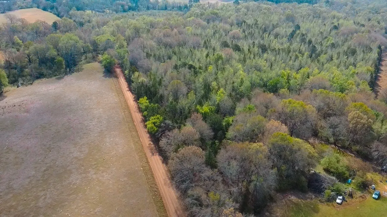 Unimproved Land For Sale in Cass County , TBD CR 4308 Reno Rd, Naples, Texas 75568, 0, 0, Garage spaces, 0 Sqft, built in 0, Price $340,000, mls#21240563, Real Estate Agent in Naples, Homes For Sale in Cass county, Homes For Sale in Naples, Realtor in Naples Texas, Real Estate Brokerage Independent Realty Texas, Luminita Cordes Realtor