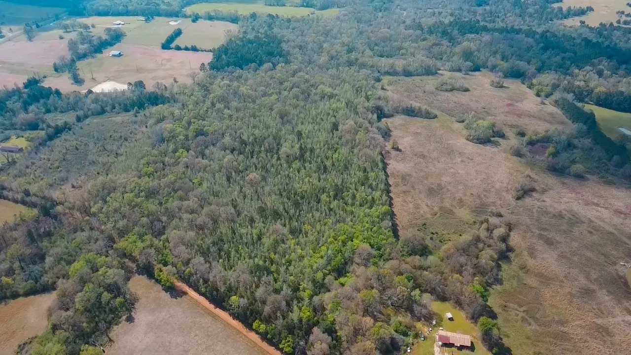 Unimproved Land For Sale in Cass County , TBD CR 4308 Reno Rd, Naples, Texas 75568, 0, 0, Garage spaces, 0 Sqft, built in 0, Price $340,000, mls#21240563, Real Estate Agent in Naples, Homes For Sale in Cass county, Homes For Sale in Naples, Realtor in Naples Texas, Real Estate Brokerage Independent Realty Texas, Luminita Cordes Realtor