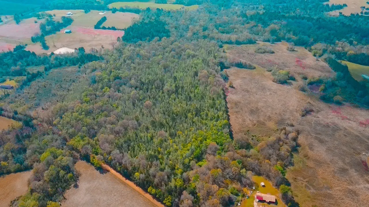 Unimproved Land For Sale in Cass County , TBD CR 4308 Reno Rd, Naples, Texas 75568, 0, 0, Garage spaces, 0 Sqft, built in 0, Price $340,000, mls#21240563, Real Estate Agent in Naples, Homes For Sale in Cass county, Homes For Sale in Naples, Realtor in Naples Texas, Real Estate Brokerage Independent Realty Texas, Luminita Cordes Realtor