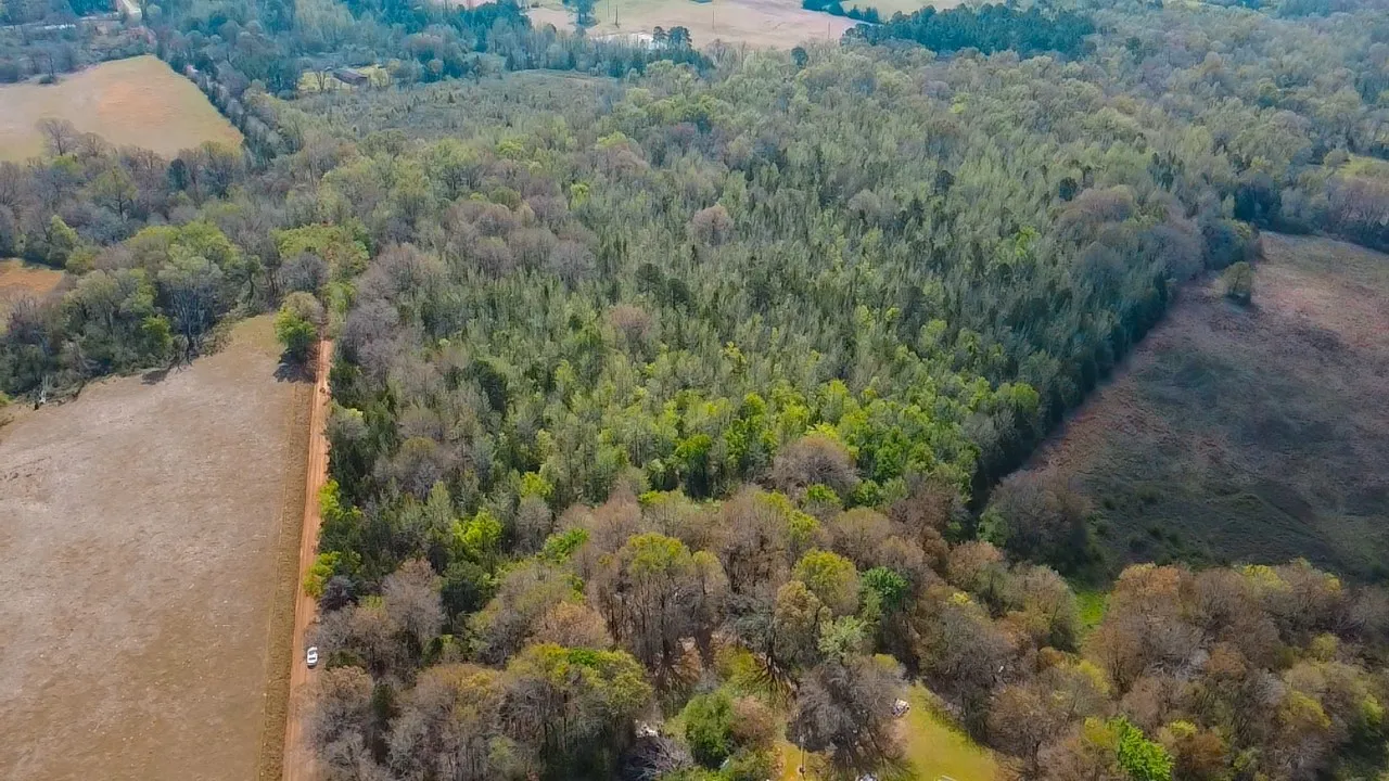 Unimproved Land For Sale in Cass County , TBD CR 4308 Reno Rd, Naples, Texas 75568, 0, 0, Garage spaces, 0 Sqft, built in 0, Price $340,000, mls#21240563, Real Estate Agent in Naples, Homes For Sale in Cass county, Homes For Sale in Naples, Realtor in Naples Texas, Real Estate Brokerage Independent Realty Texas, Luminita Cordes Realtor