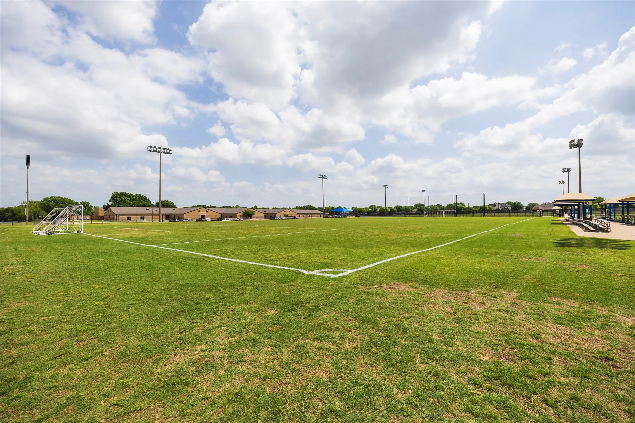 Extensive green athletic field with clearly marked white lines and a soccer goal