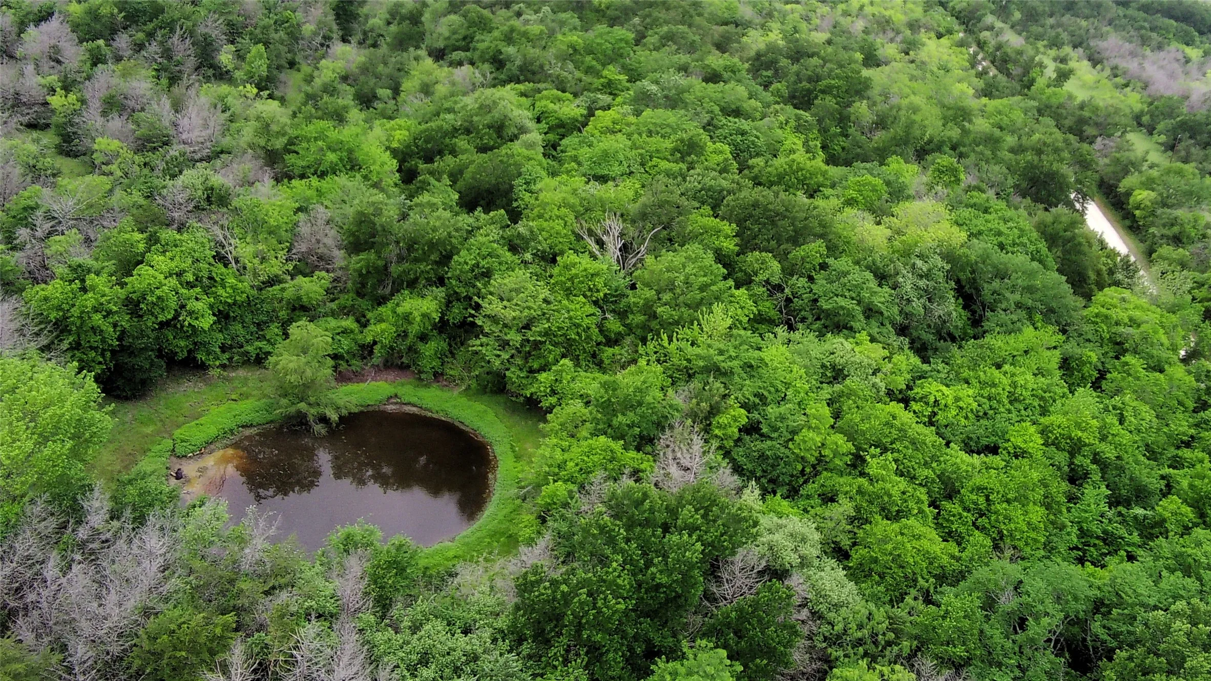 Unimproved Land For Sale in Limestone County , 000 County Road 666, Kosse, Texas 76653, 0, 0, Garage spaces, 0 Sqft, built in 0, mls#21240777, Real Estate Agent in Kosse, Homes For Sale in Limestone county, Homes For Sale in Kosse, Realtor in Kosse Texas, Real Estate Brokerage Independent Realty Texas, Luminita Cordes Realtor