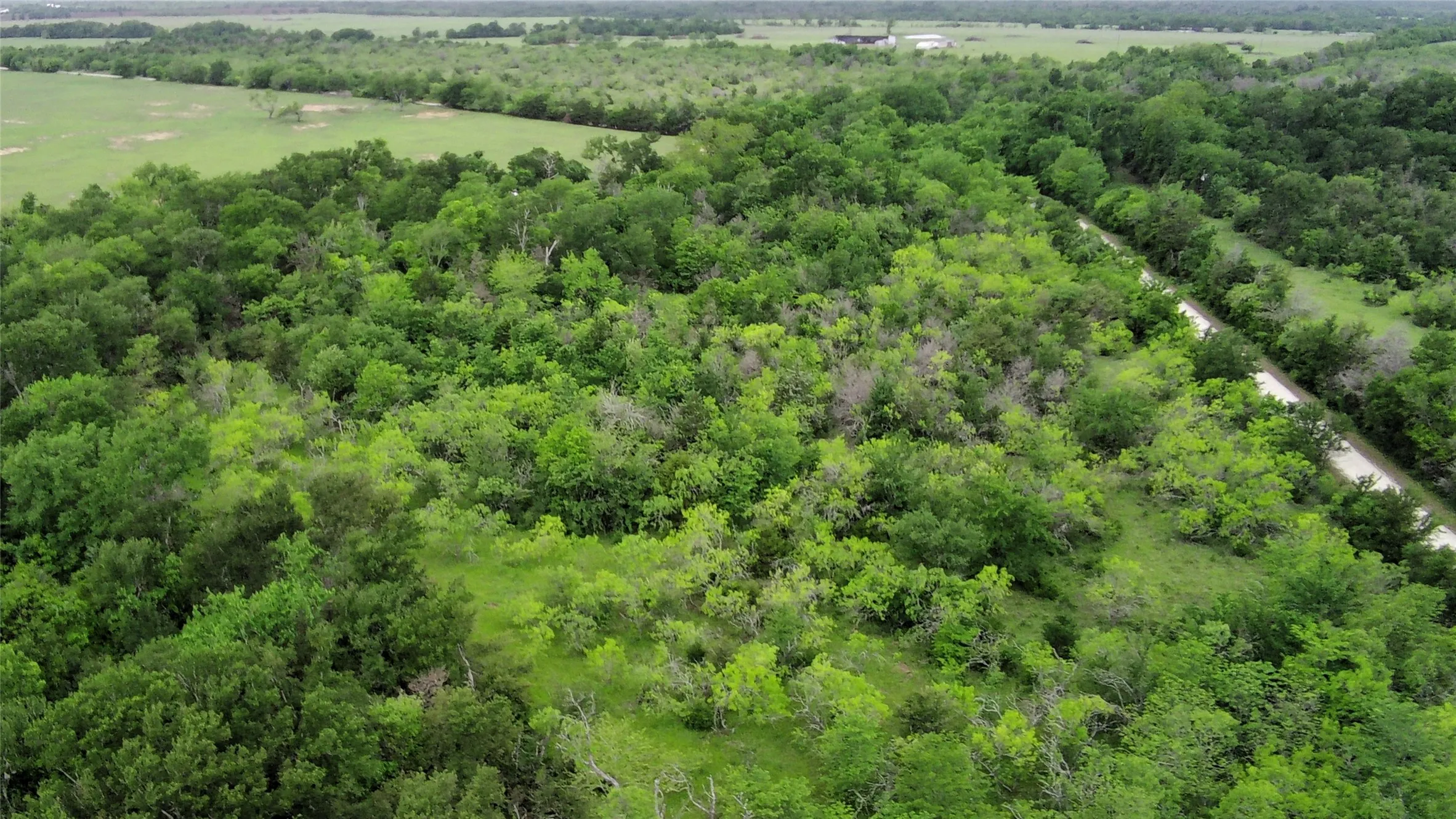 Unimproved Land For Sale in Limestone County , 000 County Road 666, Kosse, Texas 76653, 0, 0, Garage spaces, 0 Sqft, built in 0, mls#21240777, Real Estate Agent in Kosse, Homes For Sale in Limestone county, Homes For Sale in Kosse, Realtor in Kosse Texas, Real Estate Brokerage Independent Realty Texas, Luminita Cordes Realtor