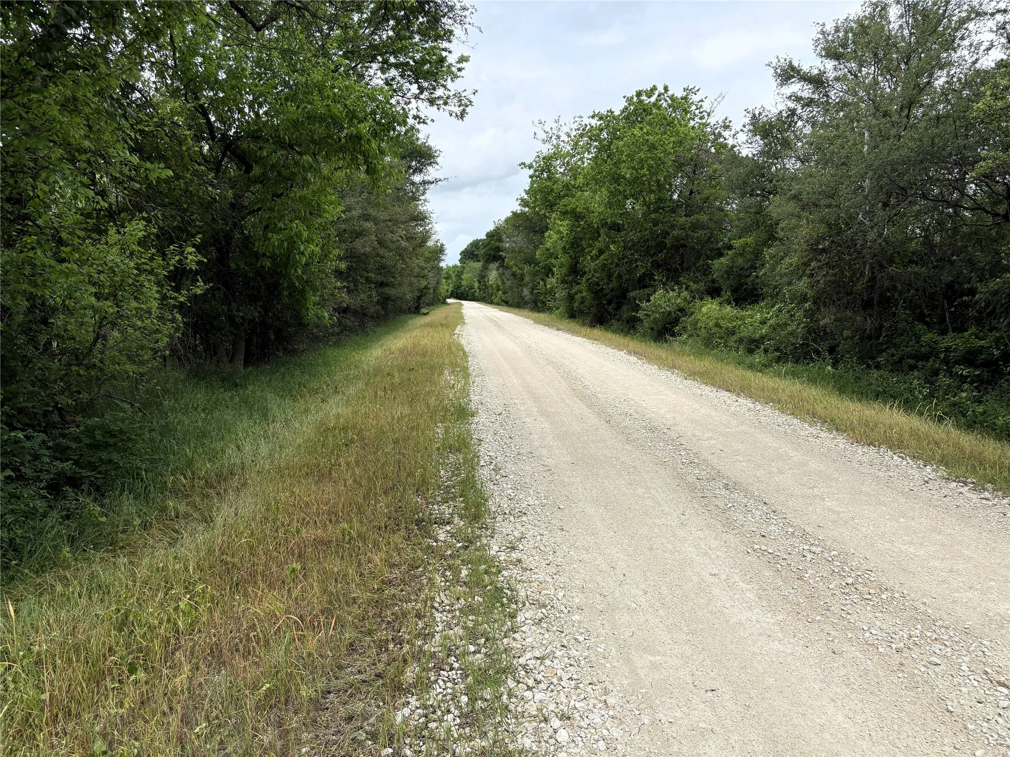 Unimproved Land For Sale in Limestone County , 000 County Road 666, Kosse, Texas 76653, 0, 0, Garage spaces, 0 Sqft, built in 0, mls#21240777, Real Estate Agent in Kosse, Homes For Sale in Limestone county, Homes For Sale in Kosse, Realtor in Kosse Texas, Real Estate Brokerage Independent Realty Texas, Luminita Cordes Realtor