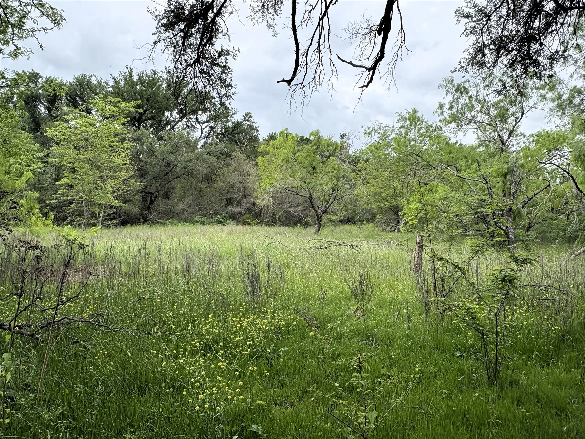 Unimproved Land For Sale in Limestone County , 000 County Road 666, Kosse, Texas 76653, 0, 0, Garage spaces, 0 Sqft, built in 0, mls#21240777, Real Estate Agent in Kosse, Homes For Sale in Limestone county, Homes For Sale in Kosse, Realtor in Kosse Texas, Real Estate Brokerage Independent Realty Texas, Luminita Cordes Realtor