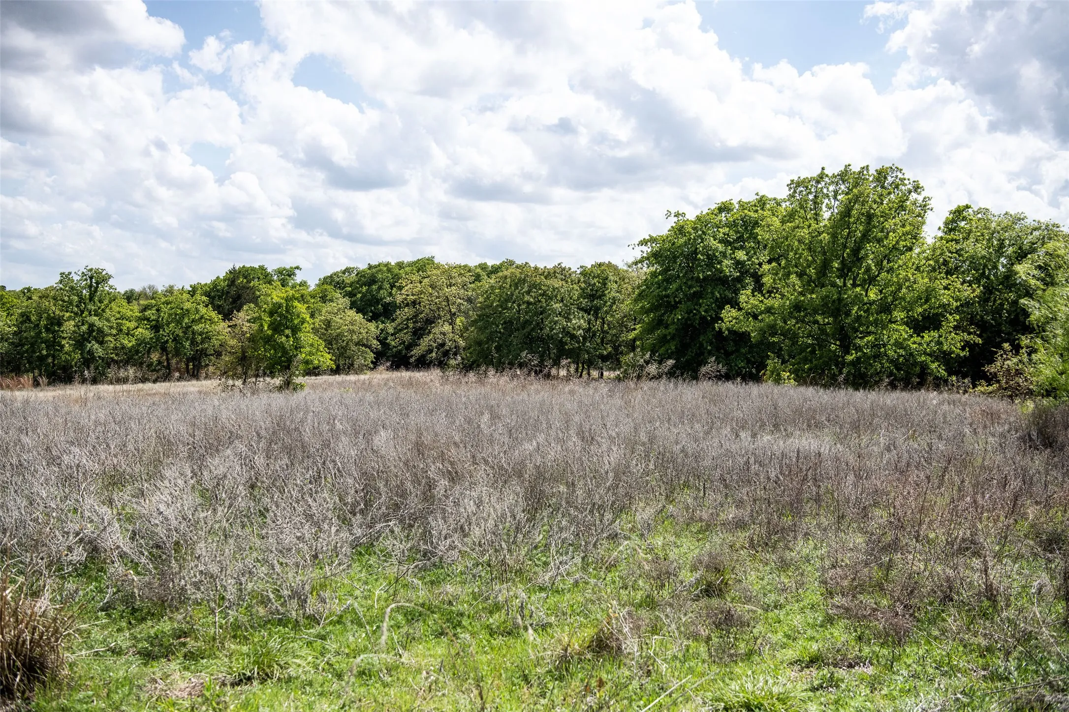 Unimproved Land For Sale in Montague County , Lot 8 Red Oak Hills Road, Nocona, Texas 76255, 0, 0, Garage spaces, 0 Sqft, built in 0, Price $120,000, mls#21242697, Real Estate Agent in Nocona, Homes For Sale in Montague county, Homes For Sale in Nocona, Realtor in Nocona Texas, Real Estate Brokerage Independent Realty Texas, Luminita Cordes Realtor