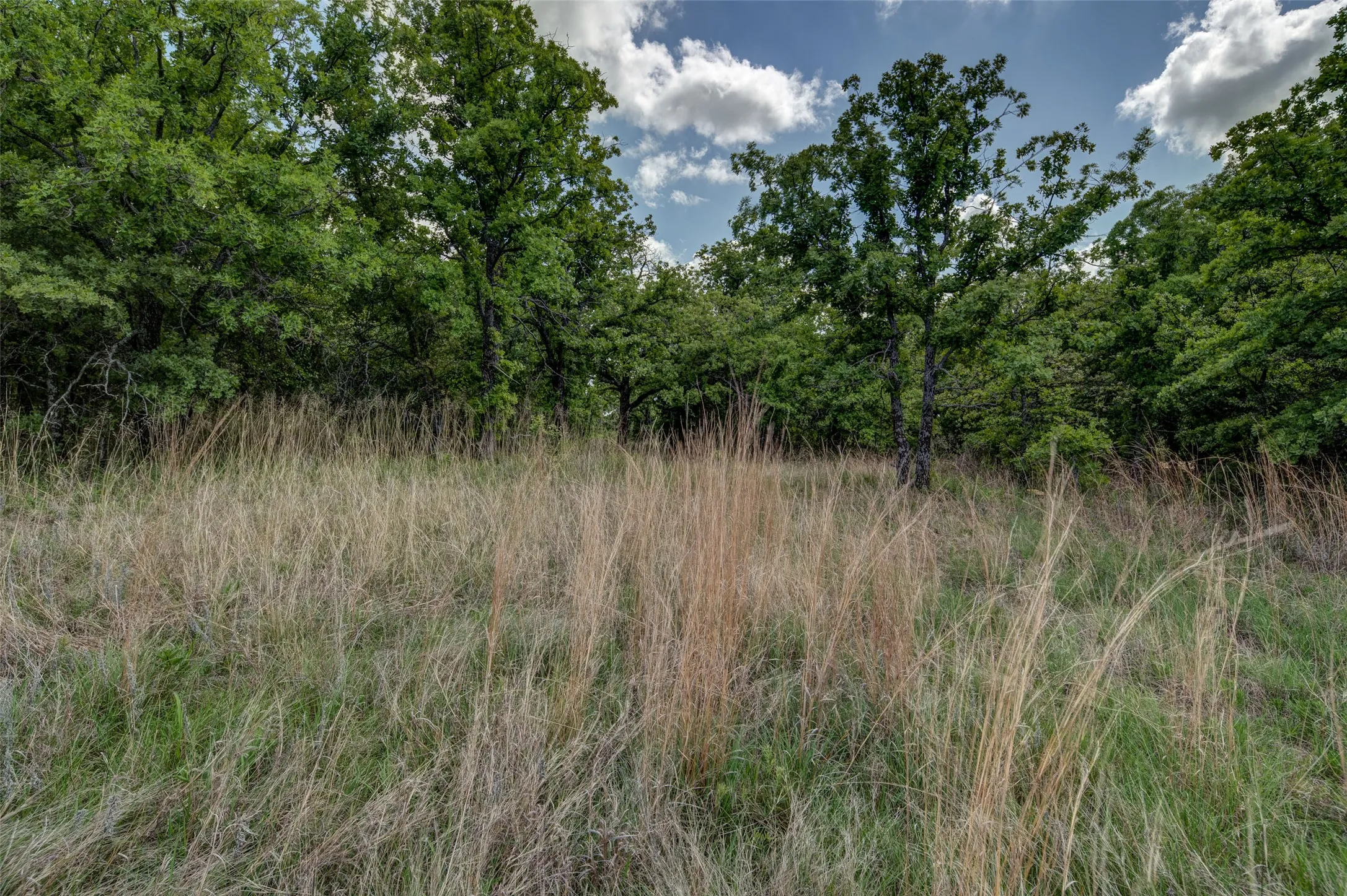 Unimproved Land For Sale in Montague County , Lot 8 Red Oak Hills Road, Nocona, Texas 76255, 0, 0, Garage spaces, 0 Sqft, built in 0, Price $120,000, mls#21242697, Real Estate Agent in Nocona, Homes For Sale in Montague county, Homes For Sale in Nocona, Realtor in Nocona Texas, Real Estate Brokerage Independent Realty Texas, Luminita Cordes Realtor