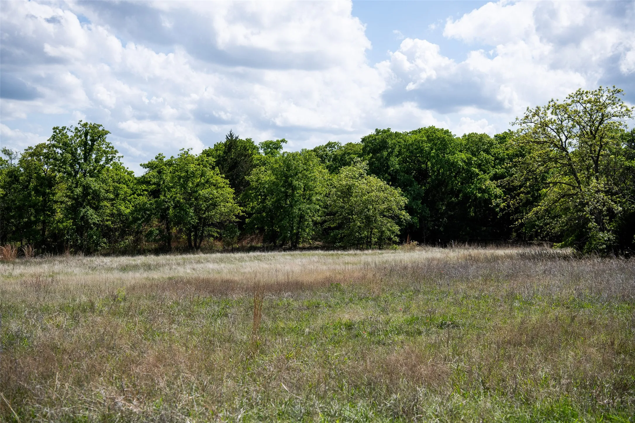 Unimproved Land For Sale in Montague County , Lot 8 Red Oak Hills Road, Nocona, Texas 76255, 0, 0, Garage spaces, 0 Sqft, built in 0, Price $120,000, mls#21242697, Real Estate Agent in Nocona, Homes For Sale in Montague county, Homes For Sale in Nocona, Realtor in Nocona Texas, Real Estate Brokerage Independent Realty Texas, Luminita Cordes Realtor