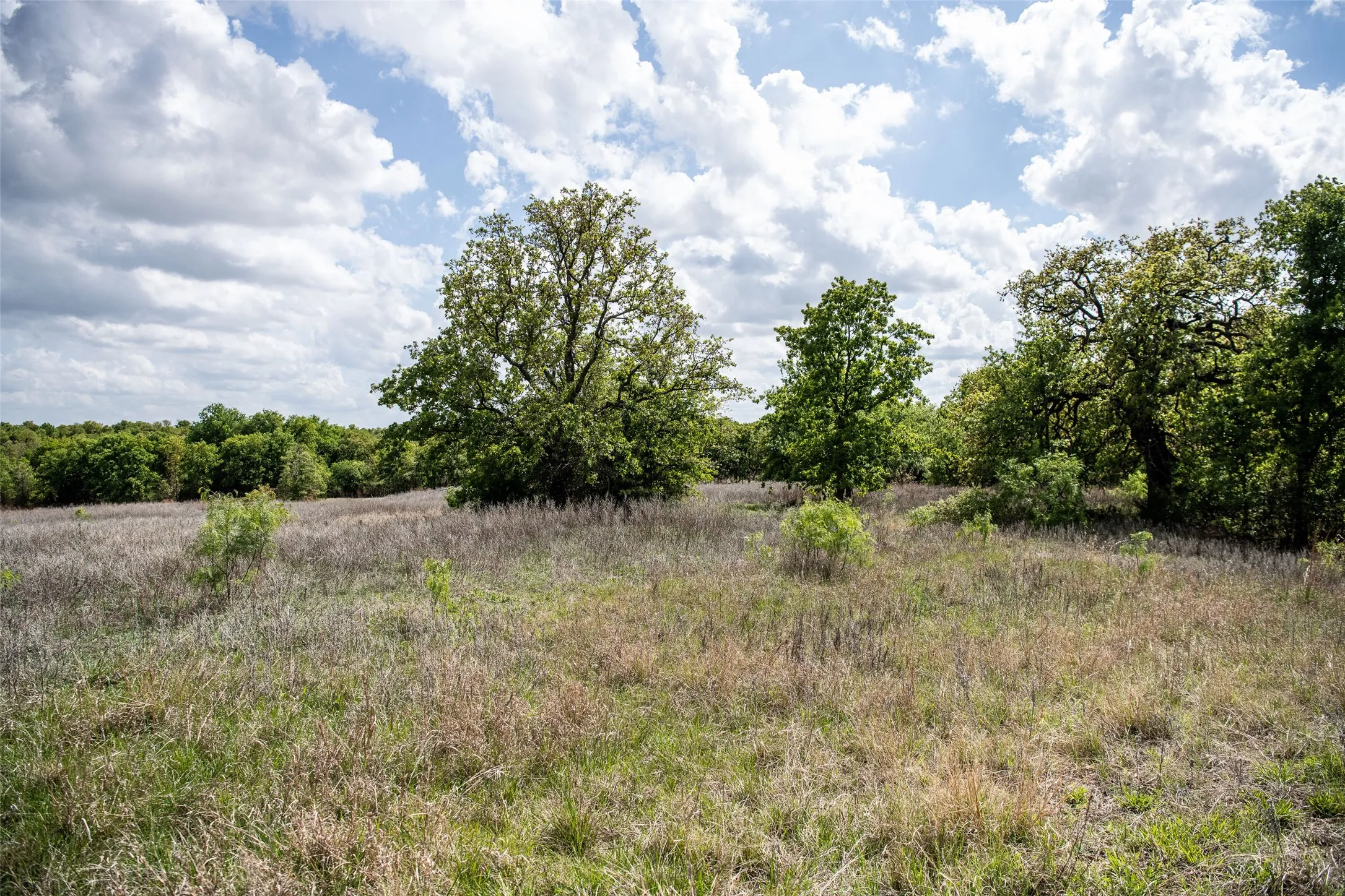 Unimproved Land For Sale in Montague County , Lot 8 Red Oak Hills Road, Nocona, Texas 76255, 0, 0, Garage spaces, 0 Sqft, built in 0, Price $120,000, mls#21242697, Real Estate Agent in Nocona, Homes For Sale in Montague county, Homes For Sale in Nocona, Realtor in Nocona Texas, Real Estate Brokerage Independent Realty Texas, Luminita Cordes Realtor