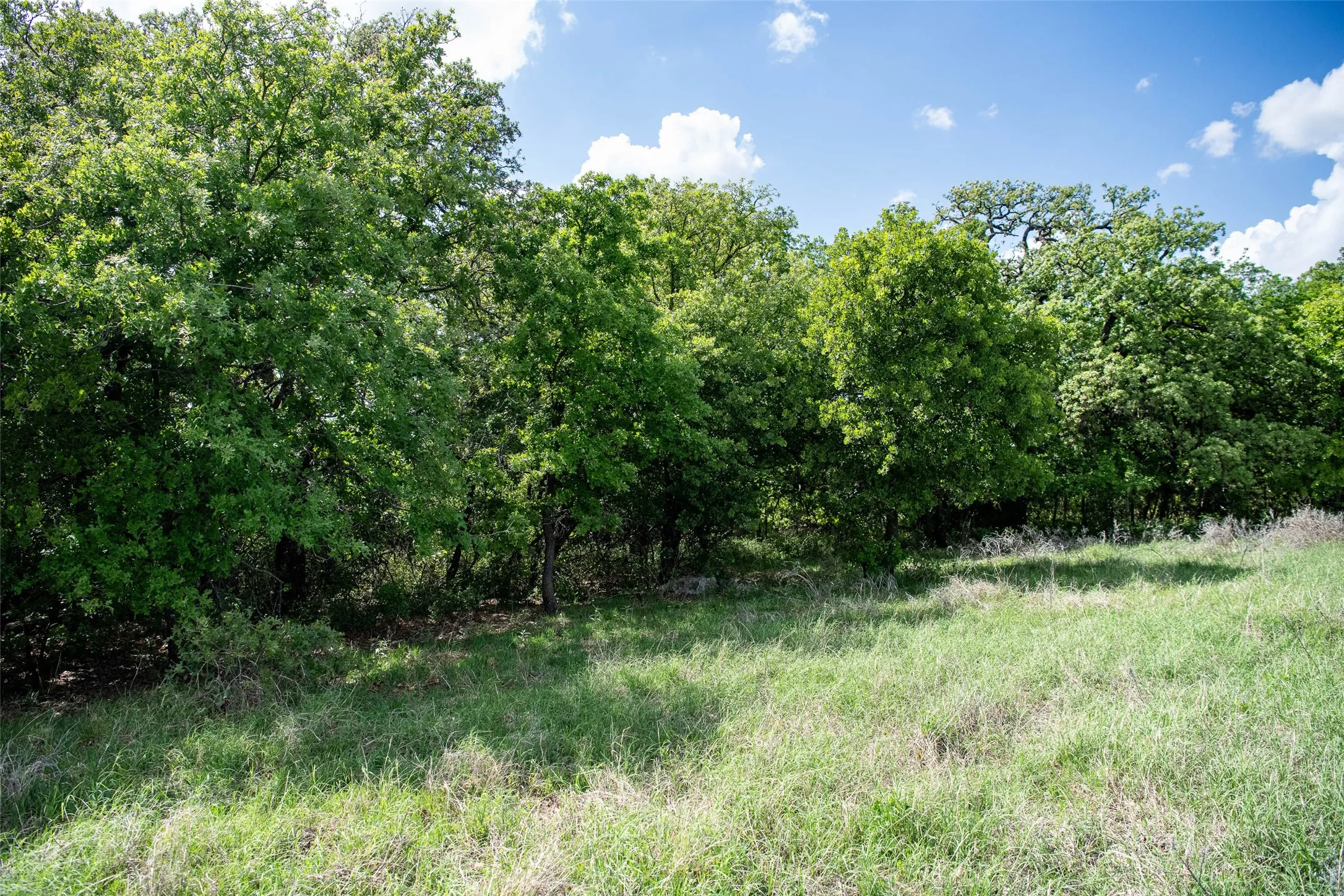 Unimproved Land For Sale in Montague County , Lot 8 Red Oak Hills Road, Nocona, Texas 76255, 0, 0, Garage spaces, 0 Sqft, built in 0, Price $120,000, mls#21242697, Real Estate Agent in Nocona, Homes For Sale in Montague county, Homes For Sale in Nocona, Realtor in Nocona Texas, Real Estate Brokerage Independent Realty Texas, Luminita Cordes Realtor