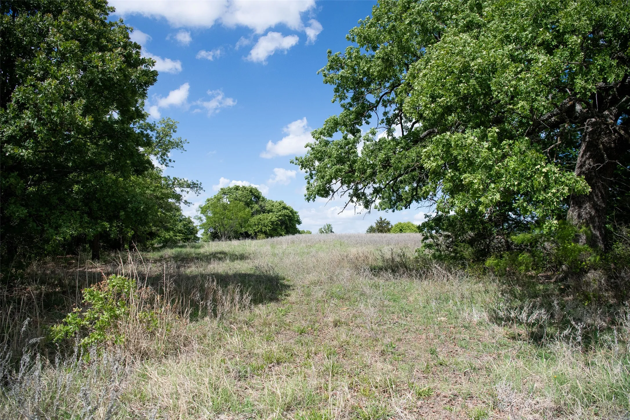 Unimproved Land For Sale in Montague County , Lot 8 Red Oak Hills Road, Nocona, Texas 76255, 0, 0, Garage spaces, 0 Sqft, built in 0, Price $120,000, mls#21242697, Real Estate Agent in Nocona, Homes For Sale in Montague county, Homes For Sale in Nocona, Realtor in Nocona Texas, Real Estate Brokerage Independent Realty Texas, Luminita Cordes Realtor