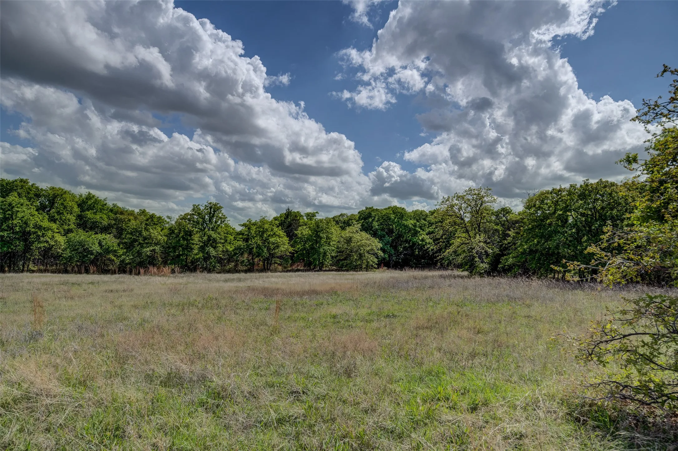 Unimproved Land For Sale in Montague County , Lot 8 Red Oak Hills Road, Nocona, Texas 76255, 0, 0, Garage spaces, 0 Sqft, built in 0, Price $120,000, mls#21242697, Real Estate Agent in Nocona, Homes For Sale in Montague county, Homes For Sale in Nocona, Realtor in Nocona Texas, Real Estate Brokerage Independent Realty Texas, Luminita Cordes Realtor