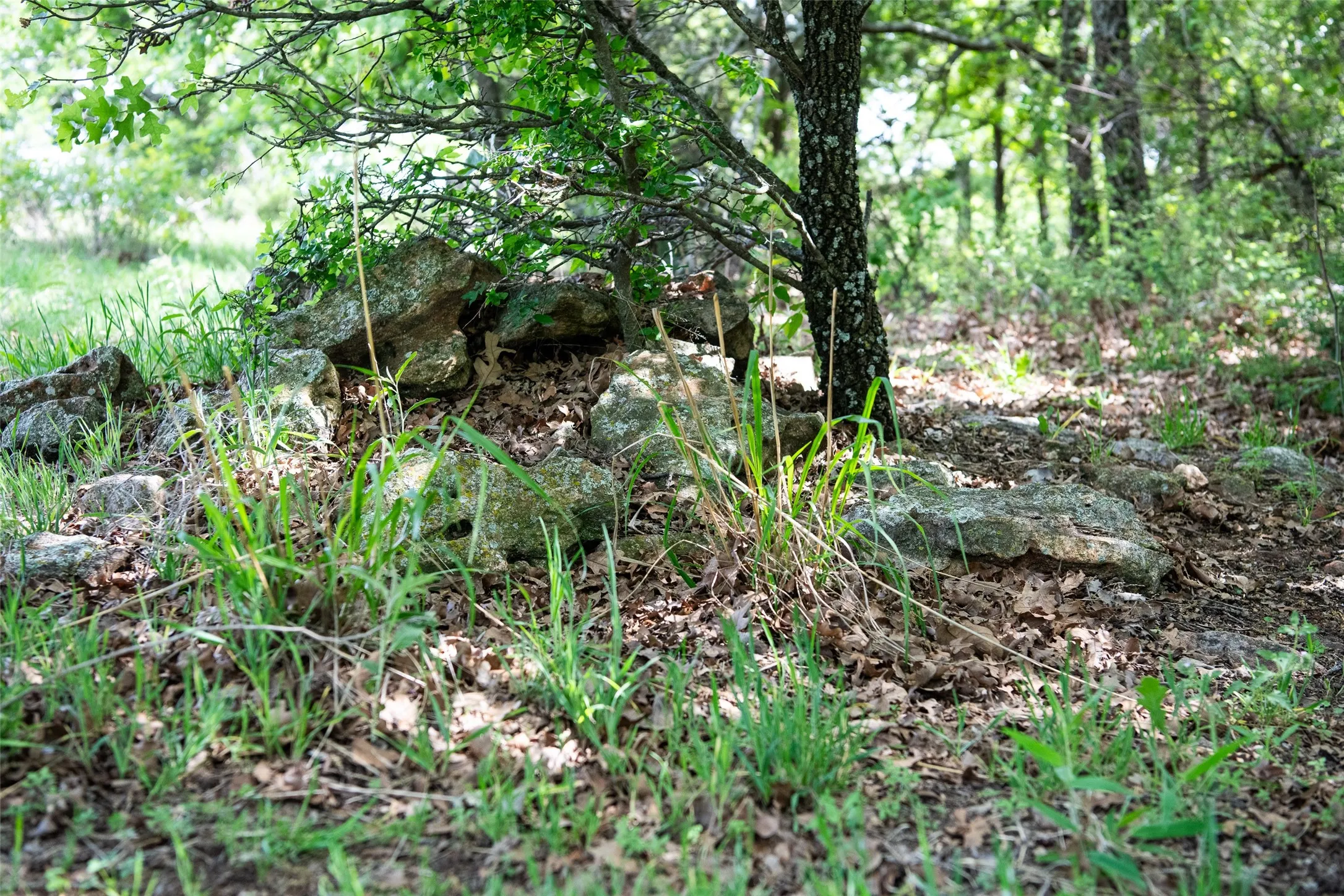 Unimproved Land For Sale in Montague County , Lot 8 Red Oak Hills Road, Nocona, Texas 76255, 0, 0, Garage spaces, 0 Sqft, built in 0, Price $120,000, mls#21242697, Real Estate Agent in Nocona, Homes For Sale in Montague county, Homes For Sale in Nocona, Realtor in Nocona Texas, Real Estate Brokerage Independent Realty Texas, Luminita Cordes Realtor