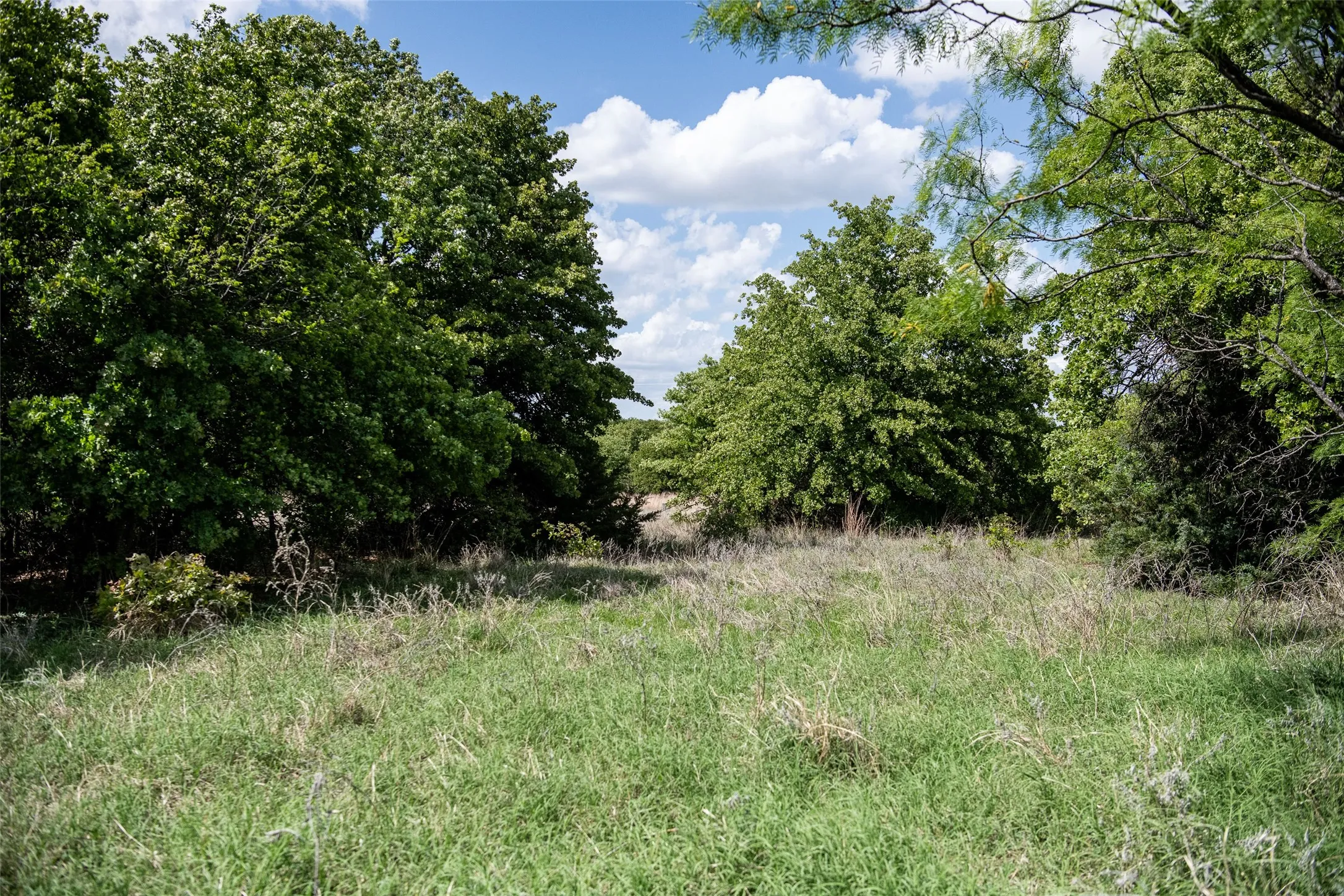 Unimproved Land For Sale in Montague County , Lot 8 Red Oak Hills Road, Nocona, Texas 76255, 0, 0, Garage spaces, 0 Sqft, built in 0, Price $120,000, mls#21242697, Real Estate Agent in Nocona, Homes For Sale in Montague county, Homes For Sale in Nocona, Realtor in Nocona Texas, Real Estate Brokerage Independent Realty Texas, Luminita Cordes Realtor