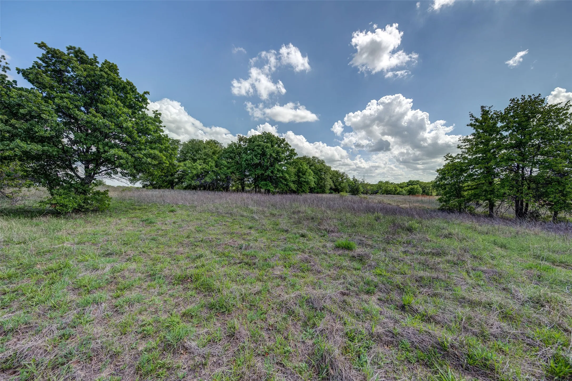 Unimproved Land For Sale in Montague County , Lot 8 Red Oak Hills Road, Nocona, Texas 76255, 0, 0, Garage spaces, 0 Sqft, built in 0, Price $120,000, mls#21242697, Real Estate Agent in Nocona, Homes For Sale in Montague county, Homes For Sale in Nocona, Realtor in Nocona Texas, Real Estate Brokerage Independent Realty Texas, Luminita Cordes Realtor