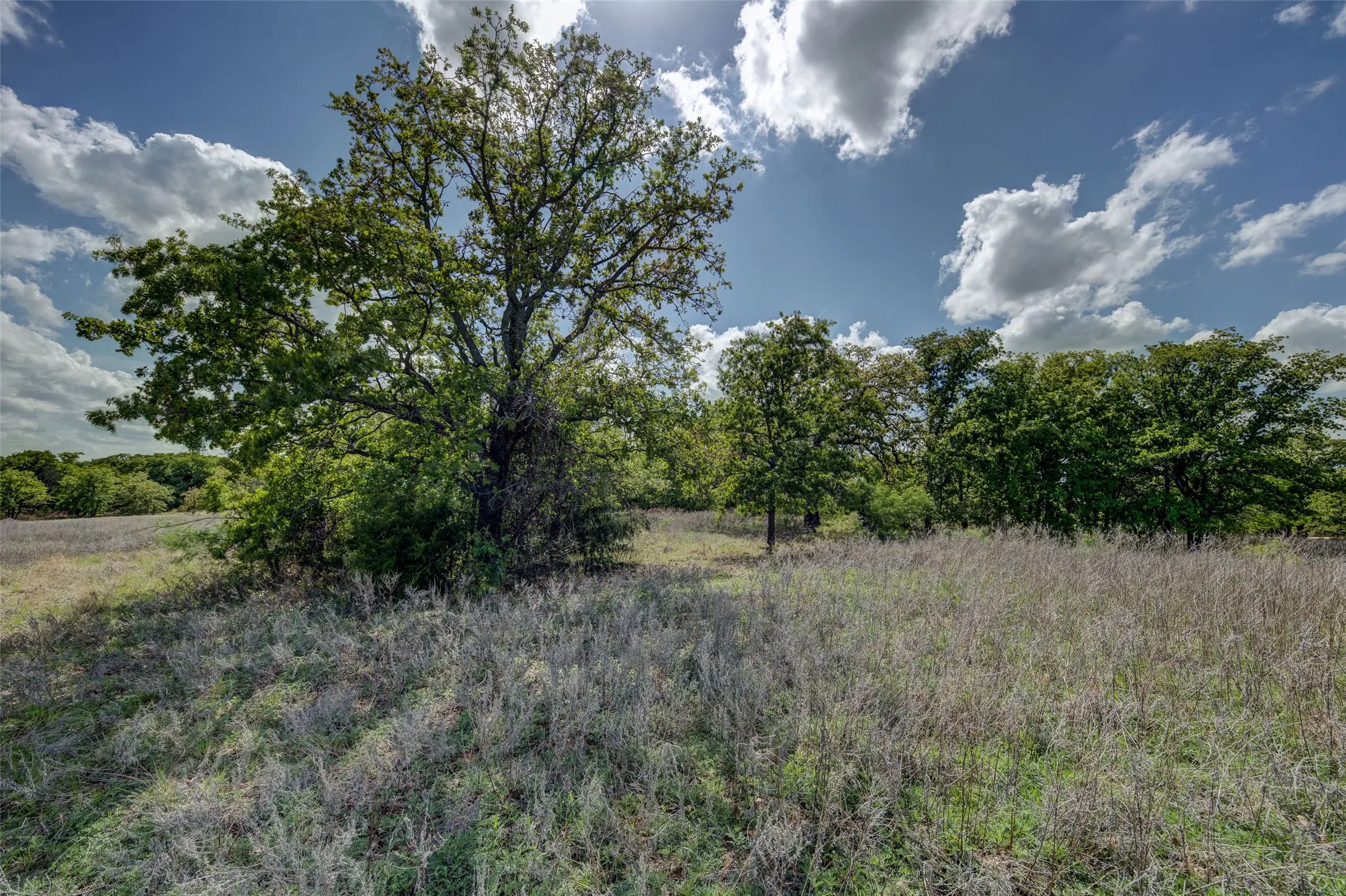 Unimproved Land For Sale in Montague County , Lot 8 Red Oak Hills Road, Nocona, Texas 76255, 0, 0, Garage spaces, 0 Sqft, built in 0, Price $120,000, mls#21242697, Real Estate Agent in Nocona, Homes For Sale in Montague county, Homes For Sale in Nocona, Realtor in Nocona Texas, Real Estate Brokerage Independent Realty Texas, Luminita Cordes Realtor