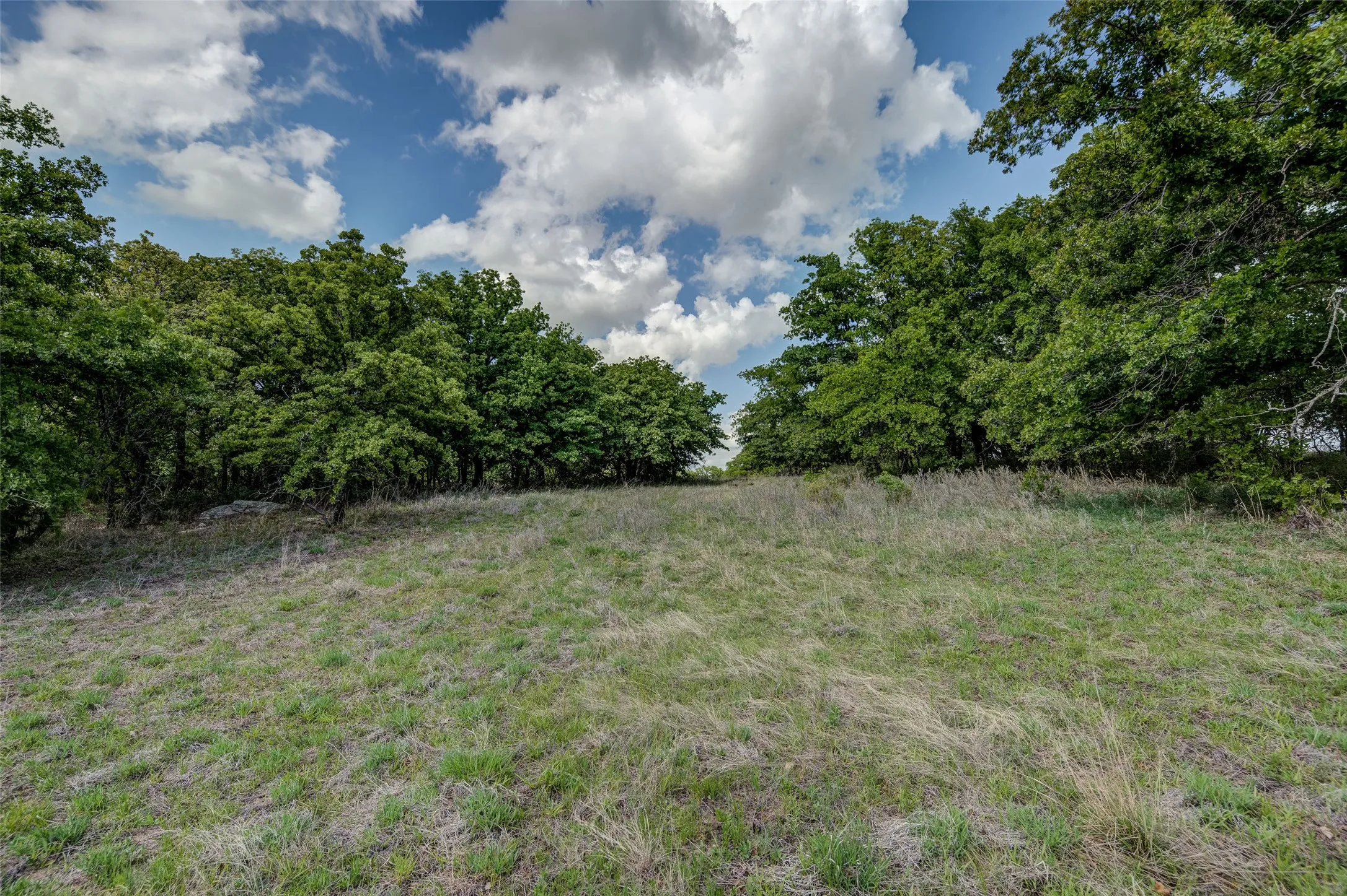 Unimproved Land For Sale in Montague County , Lot 8 Red Oak Hills Road, Nocona, Texas 76255, 0, 0, Garage spaces, 0 Sqft, built in 0, Price $120,000, mls#21242697, Real Estate Agent in Nocona, Homes For Sale in Montague county, Homes For Sale in Nocona, Realtor in Nocona Texas, Real Estate Brokerage Independent Realty Texas, Luminita Cordes Realtor