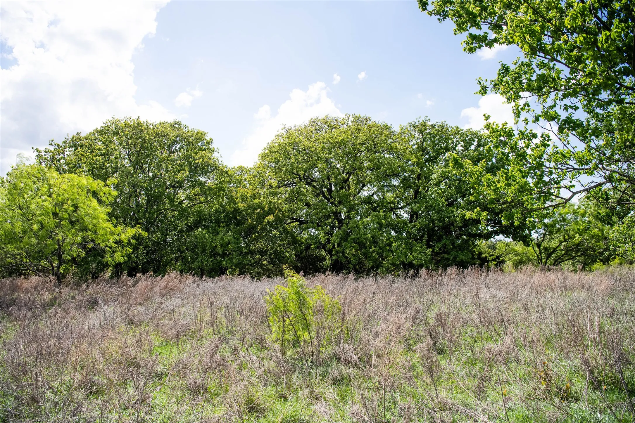 Unimproved Land For Sale in Montague County , Lot 8 Red Oak Hills Road, Nocona, Texas 76255, 0, 0, Garage spaces, 0 Sqft, built in 0, Price $120,000, mls#21242697, Real Estate Agent in Nocona, Homes For Sale in Montague county, Homes For Sale in Nocona, Realtor in Nocona Texas, Real Estate Brokerage Independent Realty Texas, Luminita Cordes Realtor