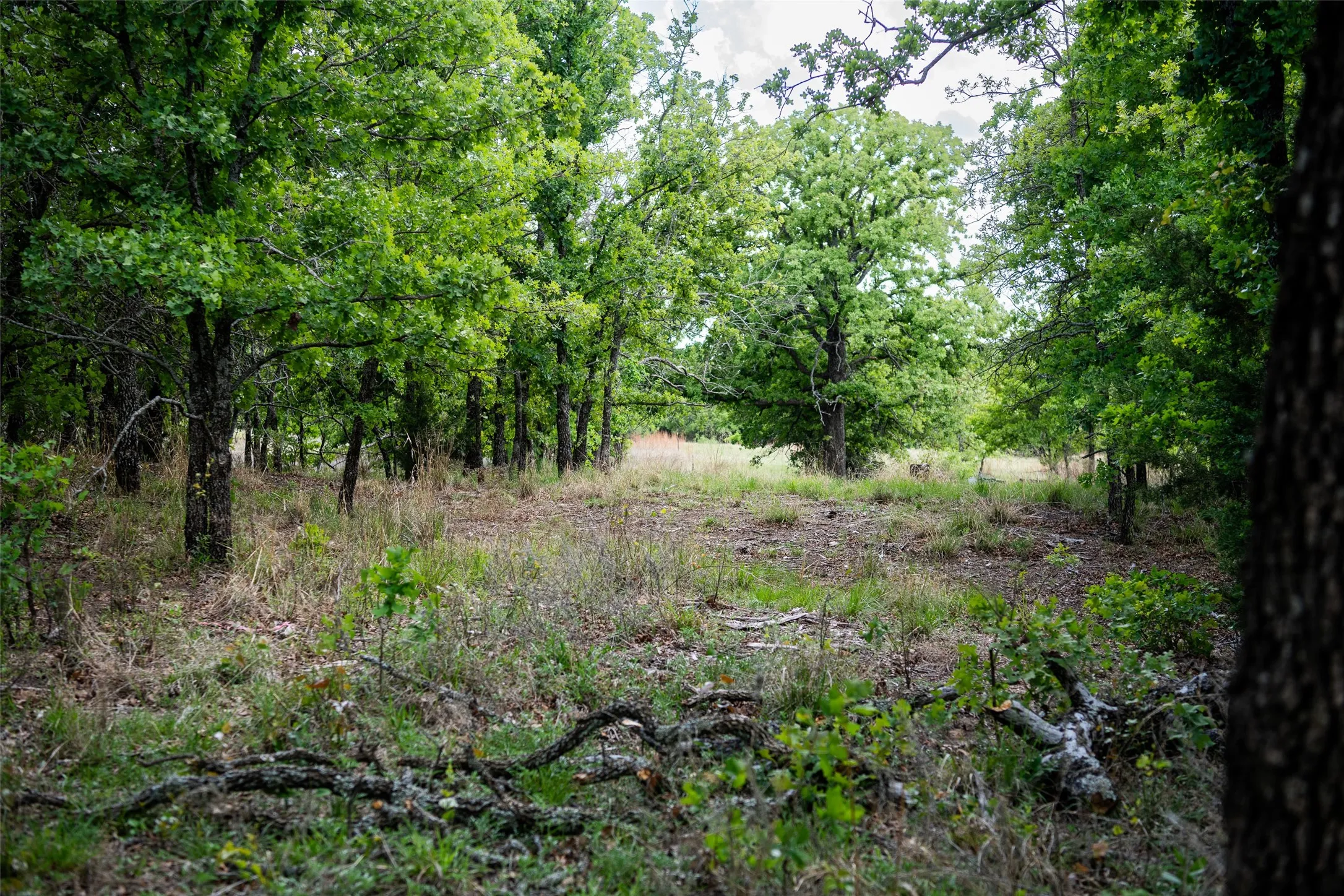 Unimproved Land For Sale in Montague County , Lot 8 Red Oak Hills Road, Nocona, Texas 76255, 0, 0, Garage spaces, 0 Sqft, built in 0, Price $120,000, mls#21242697, Real Estate Agent in Nocona, Homes For Sale in Montague county, Homes For Sale in Nocona, Realtor in Nocona Texas, Real Estate Brokerage Independent Realty Texas, Luminita Cordes Realtor