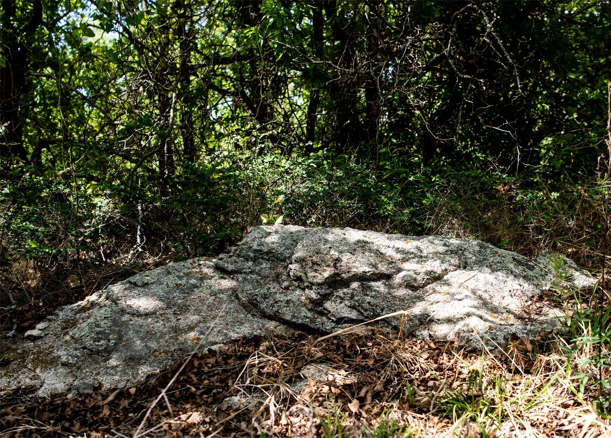 Unimproved Land For Sale in Montague County , Lot 8 Red Oak Hills Road, Nocona, Texas 76255, 0, 0, Garage spaces, 0 Sqft, built in 0, Price $120,000, mls#21242697, Real Estate Agent in Nocona, Homes For Sale in Montague county, Homes For Sale in Nocona, Realtor in Nocona Texas, Real Estate Brokerage Independent Realty Texas, Luminita Cordes Realtor