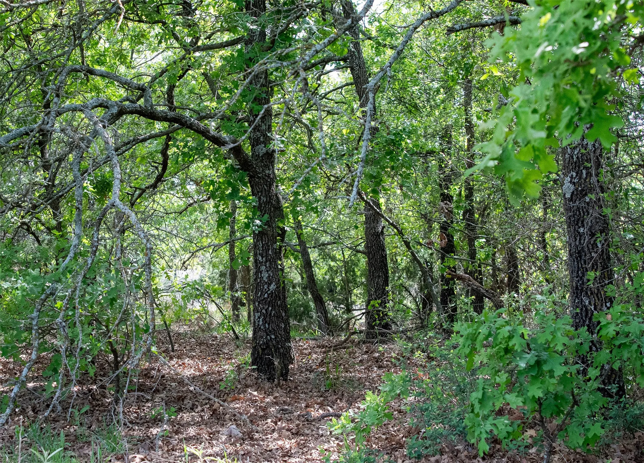 Unimproved Land For Sale in Montague County , Lot 8 Red Oak Hills Road, Nocona, Texas 76255, 0, 0, Garage spaces, 0 Sqft, built in 0, Price $120,000, mls#21242697, Real Estate Agent in Nocona, Homes For Sale in Montague county, Homes For Sale in Nocona, Realtor in Nocona Texas, Real Estate Brokerage Independent Realty Texas, Luminita Cordes Realtor