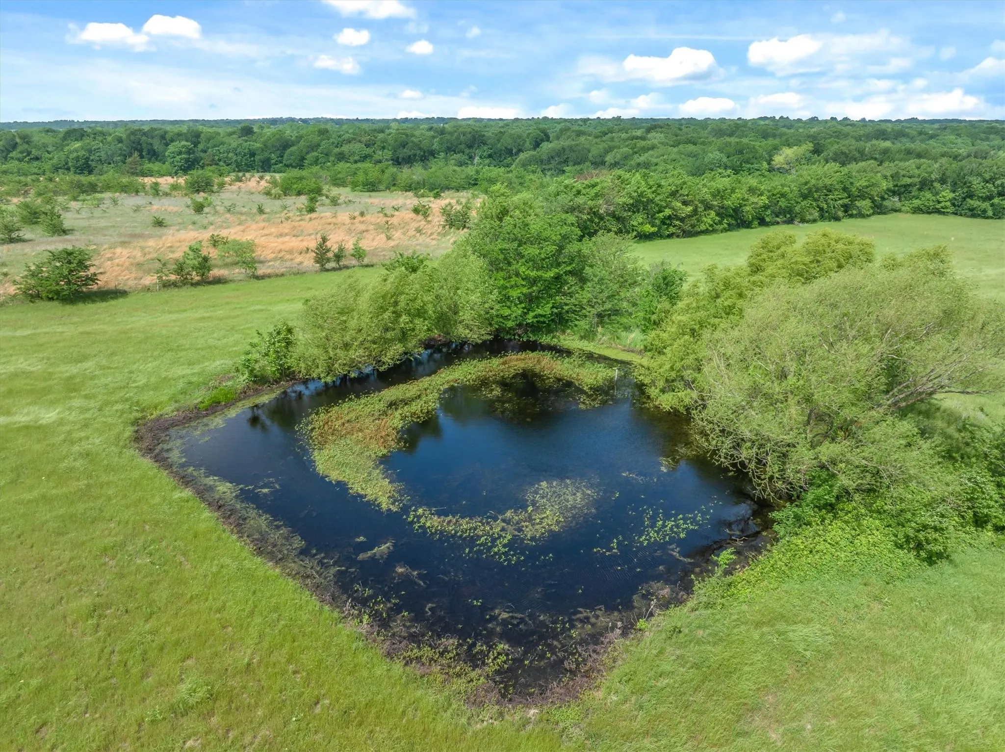 Farm For Sale in Kaufman County , 10761 County Road 348, Wills Point, Texas 75169, 3 Bedroom, 2 Bathroom, Garage spaces, 1,508 Sqft, built in 1970, mls#21238637, Real Estate Agent in Wills Point, Homes For Sale in Kaufman county, Homes For Sale in Wills Point, Realtor in Wills Point Texas, Real Estate Brokerage Independent Realty Texas, Luminita Cordes Realtor