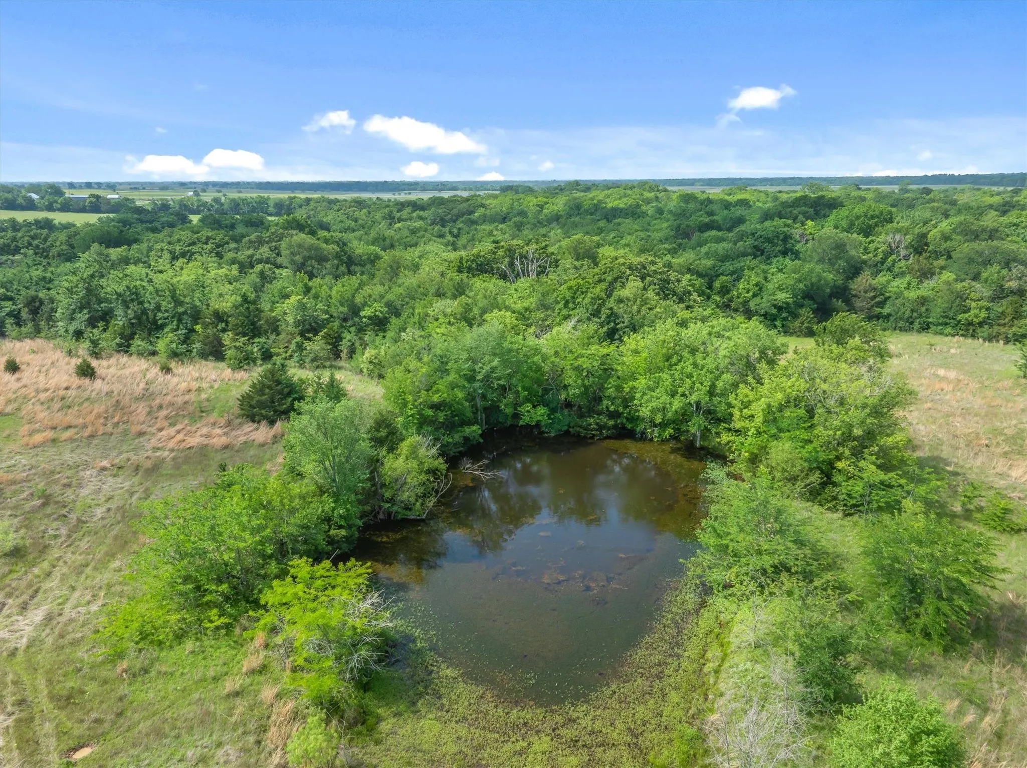 Farm For Sale in Kaufman County , 10761 County Road 348, Wills Point, Texas 75169, 3 Bedroom, 2 Bathroom, Garage spaces, 1,508 Sqft, built in 1970, mls#21238637, Real Estate Agent in Wills Point, Homes For Sale in Kaufman county, Homes For Sale in Wills Point, Realtor in Wills Point Texas, Real Estate Brokerage Independent Realty Texas, Luminita Cordes Realtor