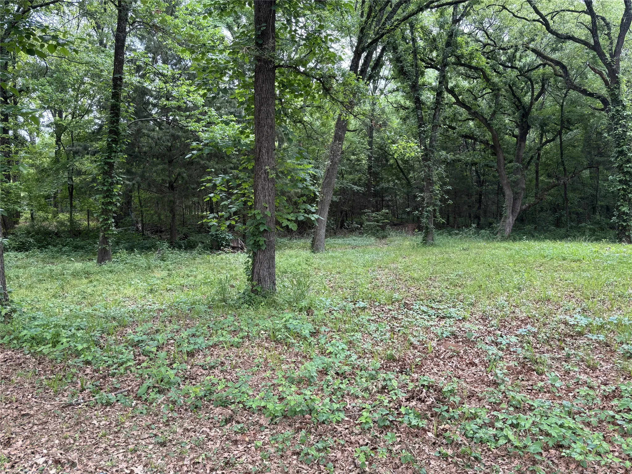 Unimproved Land For Sale in Hunt County , TBD Torama Street, Quinlan, Texas 75474, 0, 0, Garage spaces, 0 Sqft, built in 0, Price $60,000, mls#21242718, Real Estate Agent in Quinlan, Homes For Sale in Hunt county, Homes For Sale in Quinlan, Realtor in Quinlan Texas, Real Estate Brokerage Independent Realty Texas, Luminita Cordes Realtor