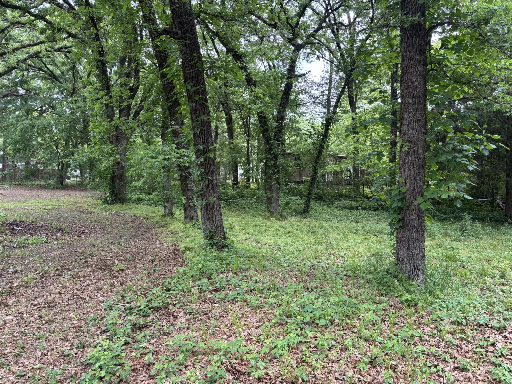 Unimproved Land For Sale in Hunt County , TBD Torama Street, Quinlan, Texas 75474, 0, 0, Garage spaces, 0 Sqft, built in 0, Price $60,000, mls#21242718, Real Estate Agent in Quinlan, Homes For Sale in Hunt county, Homes For Sale in Quinlan, Realtor in Quinlan Texas, Real Estate Brokerage Independent Realty Texas, Luminita Cordes Realtor