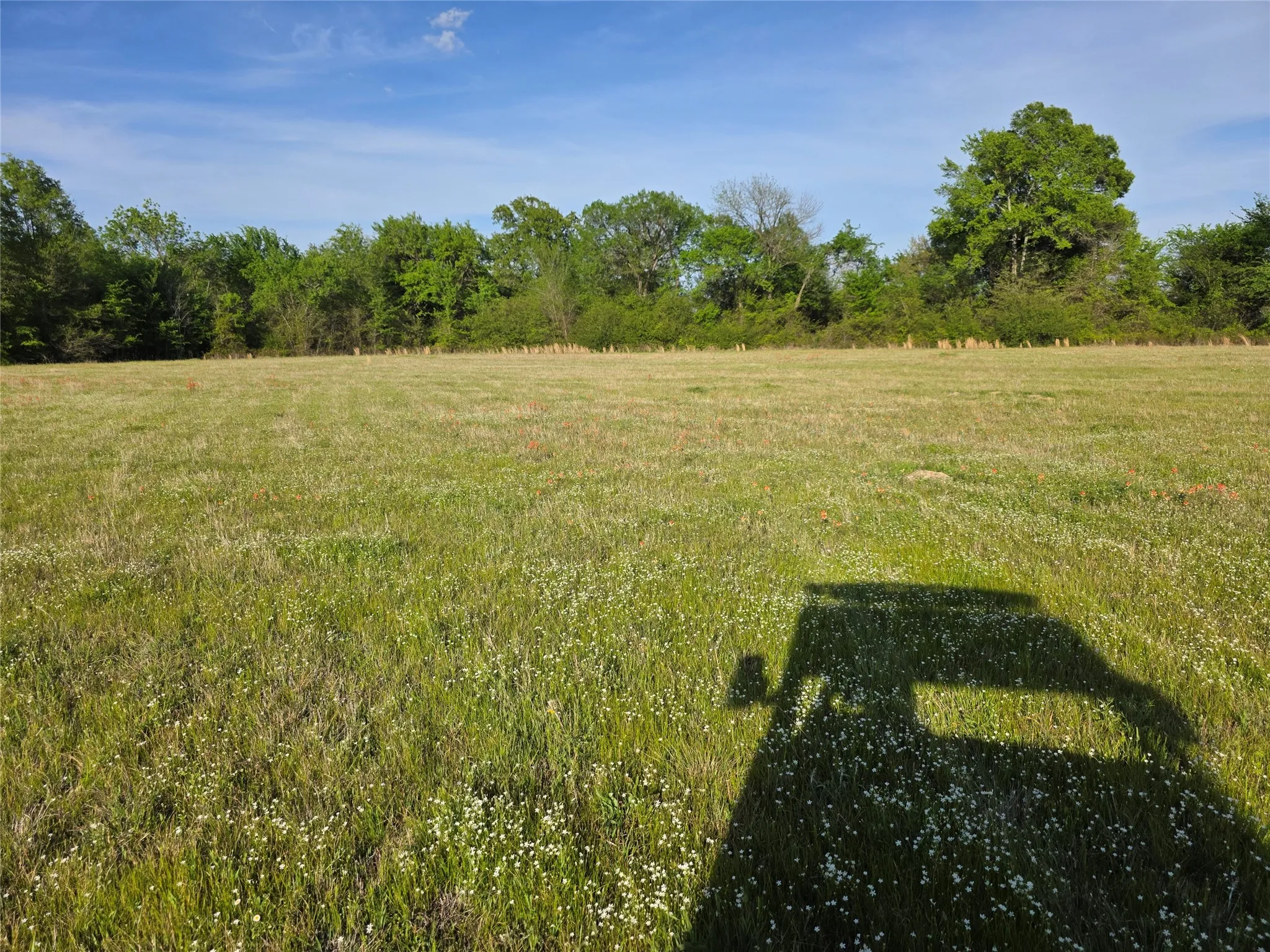 Farm For Sale in Rains County , 550 RS COUNTY ROAD 3425, Emory, Texas 75440, 3 Bedroom, 2 Bathroom, 2 Garage spaces, 1,854 Sqft, built in 1971, Preowned, mls#21242871, Real Estate Agent in Emory, Homes For Sale in Rains county, Homes For Sale in Emory, Realtor in Emory Texas, Real Estate Brokerage Independent Realty Texas, Luminita Cordes Realtor