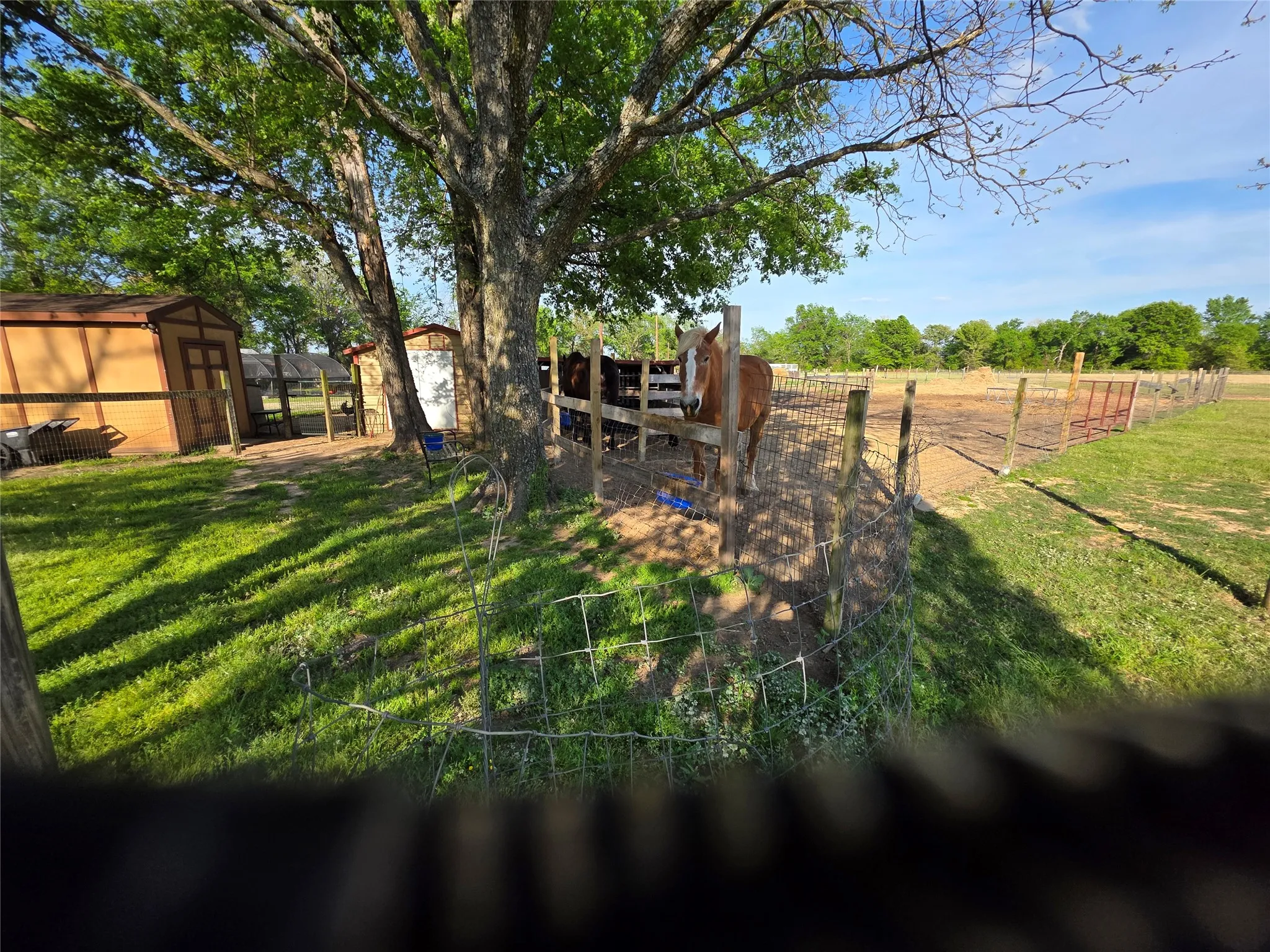 Farm For Sale in Rains County , 550 RS COUNTY ROAD 3425, Emory, Texas 75440, 3 Bedroom, 2 Bathroom, 2 Garage spaces, 1,854 Sqft, built in 1971, Preowned, mls#21242871, Real Estate Agent in Emory, Homes For Sale in Rains county, Homes For Sale in Emory, Realtor in Emory Texas, Real Estate Brokerage Independent Realty Texas, Luminita Cordes Realtor