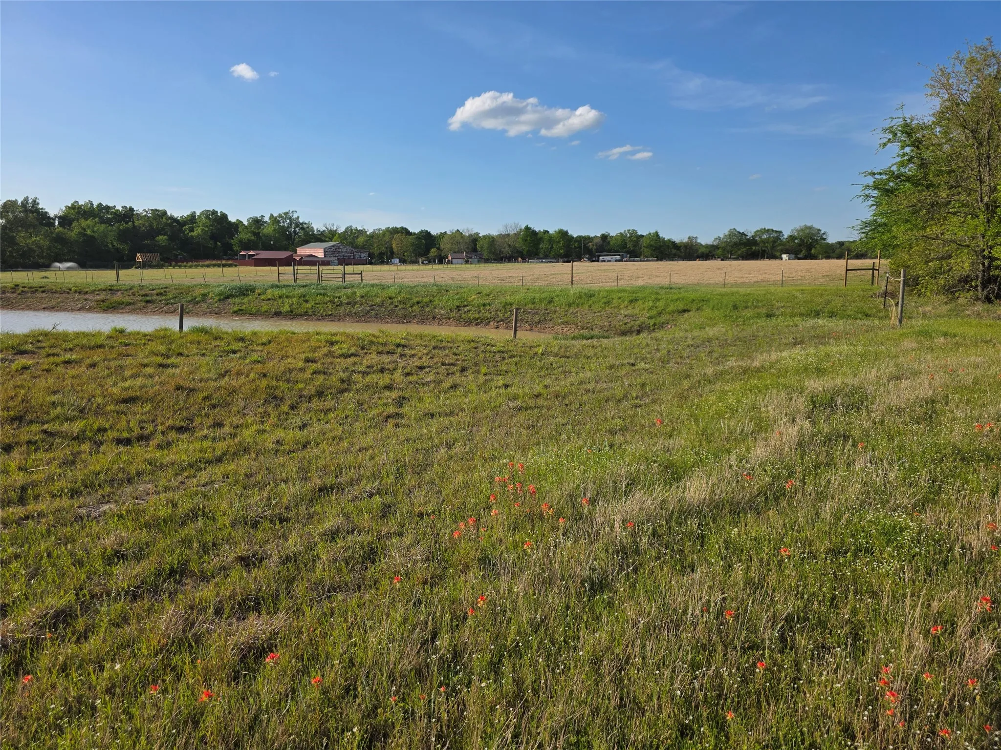 Farm For Sale in Rains County , 550 RS COUNTY ROAD 3425, Emory, Texas 75440, 3 Bedroom, 2 Bathroom, 2 Garage spaces, 1,854 Sqft, built in 1971, Preowned, mls#21242871, Real Estate Agent in Emory, Homes For Sale in Rains county, Homes For Sale in Emory, Realtor in Emory Texas, Real Estate Brokerage Independent Realty Texas, Luminita Cordes Realtor