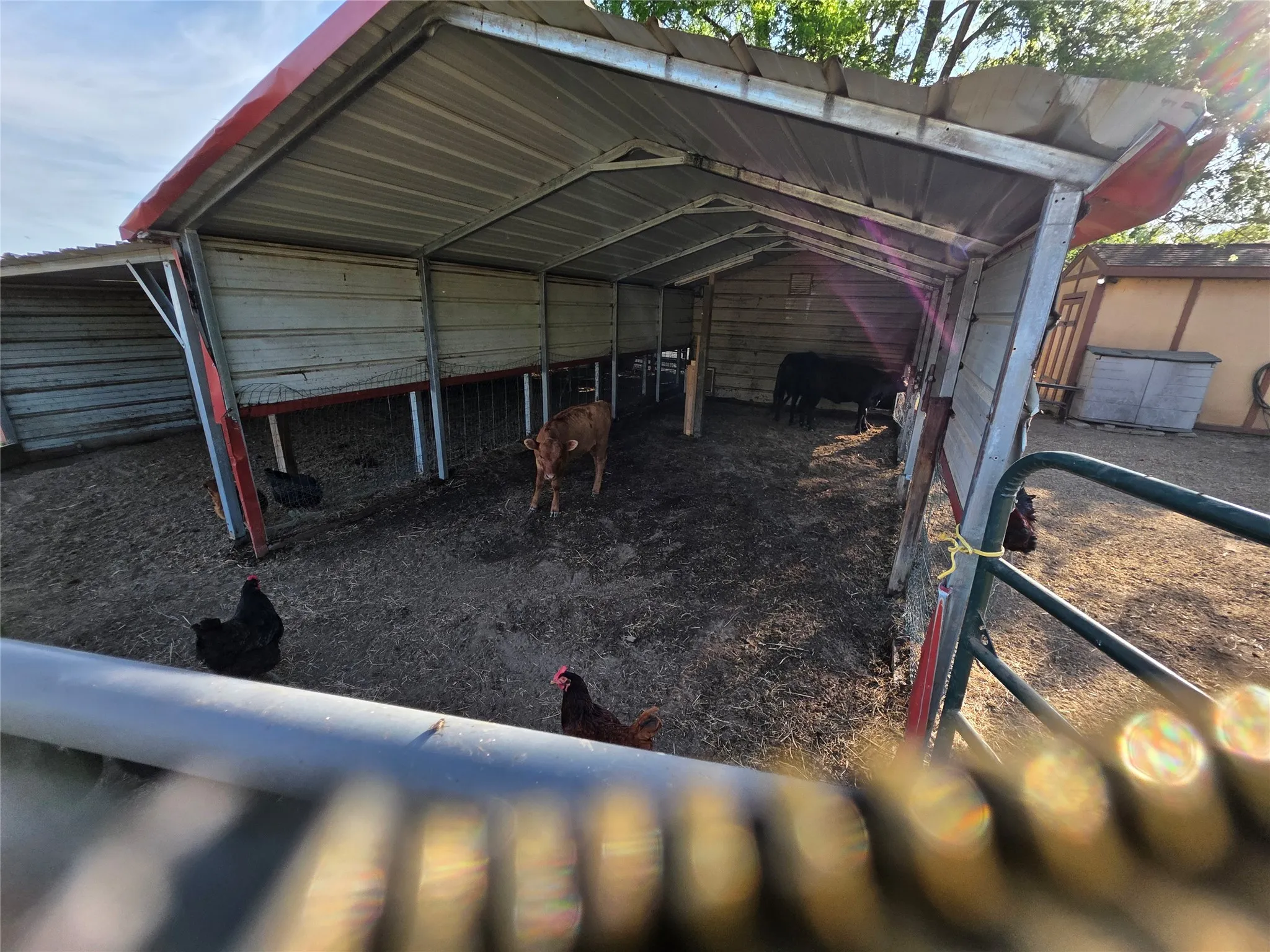 Farm For Sale in Rains County , 550 RS COUNTY ROAD 3425, Emory, Texas 75440, 3 Bedroom, 2 Bathroom, 2 Garage spaces, 1,854 Sqft, built in 1971, Preowned, mls#21242871, Real Estate Agent in Emory, Homes For Sale in Rains county, Homes For Sale in Emory, Realtor in Emory Texas, Real Estate Brokerage Independent Realty Texas, Luminita Cordes Realtor