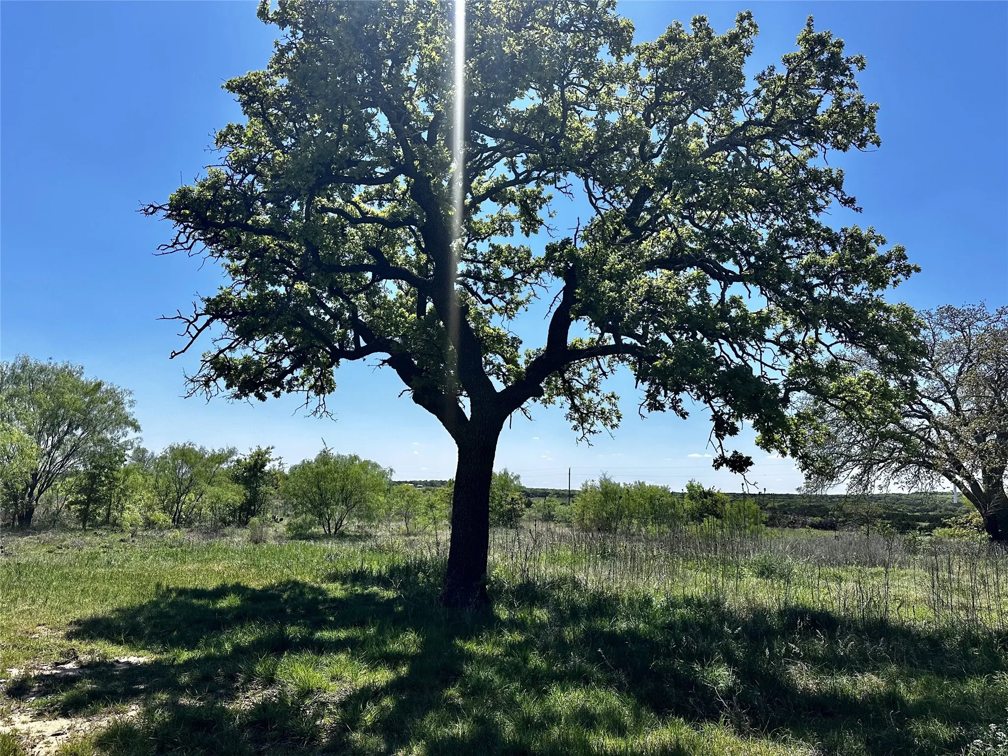 Single Family Residence For Sale in Callahan County , 9842 Fm 2228, Baird, Texas 79504, 1 Bedroom, 1 Bathroom, Garage spaces, 1,600 Sqft, built in 1930, Price $280,000, mls#21242881, Real Estate Agent in Baird, Homes For Sale in Callahan county, Homes For Sale in Baird, Realtor in Baird Texas, Real Estate Brokerage Independent Realty Texas, Luminita Cordes Realtor
