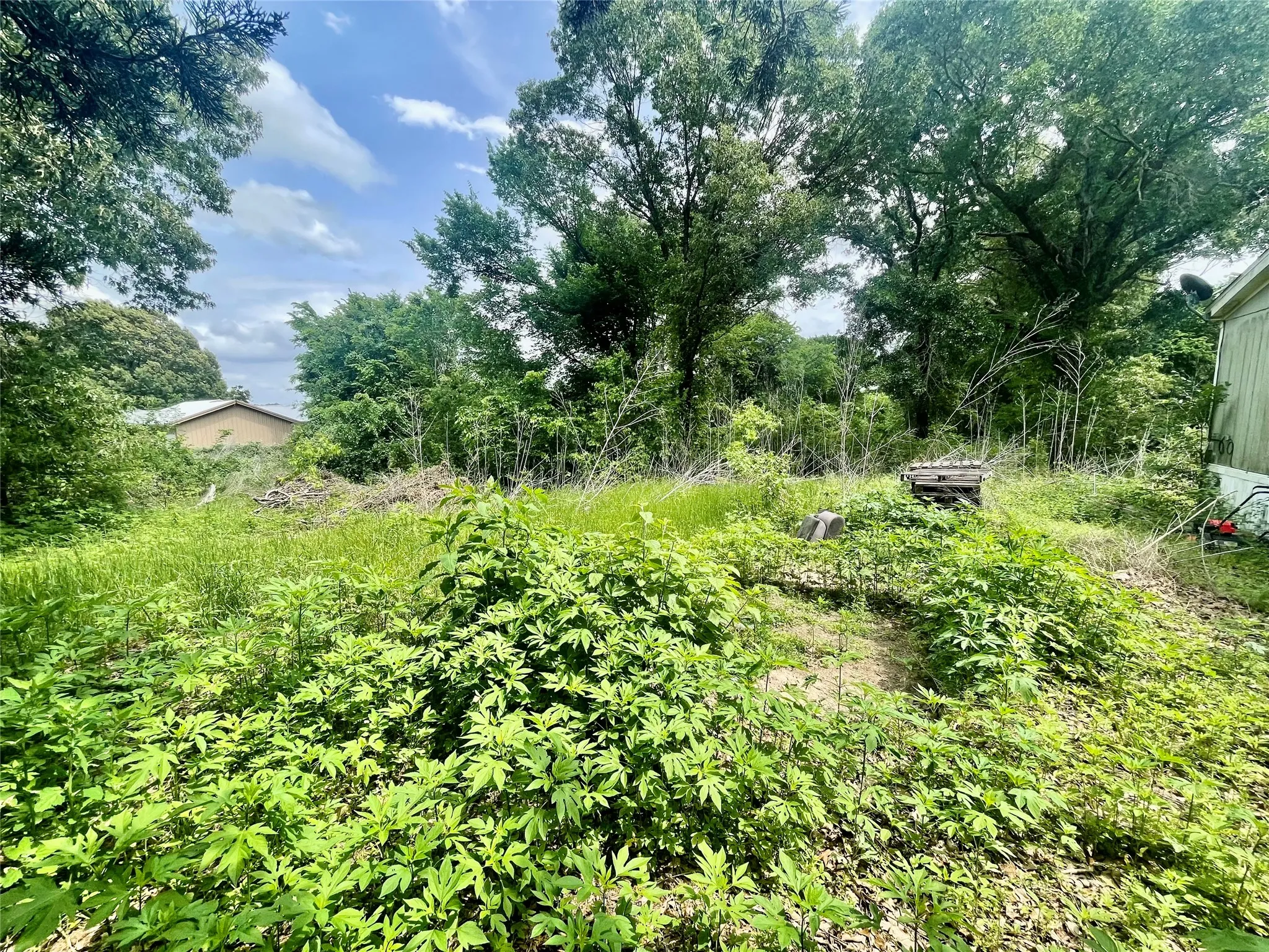 Mobile Home For Sale in Van Zandt County , 528 Vz County Road 1308, Canton, Texas 75103, 4 Bedroom, 2 Bathroom, Garage spaces, 1,344 Sqft, built in 2003, Price $149,500, mls#21242690, Real Estate Agent in Canton, Homes For Sale in Van Zandt county, Homes For Sale in Canton, Realtor in Canton Texas, Real Estate Brokerage Independent Realty Texas, Luminita Cordes Realtor