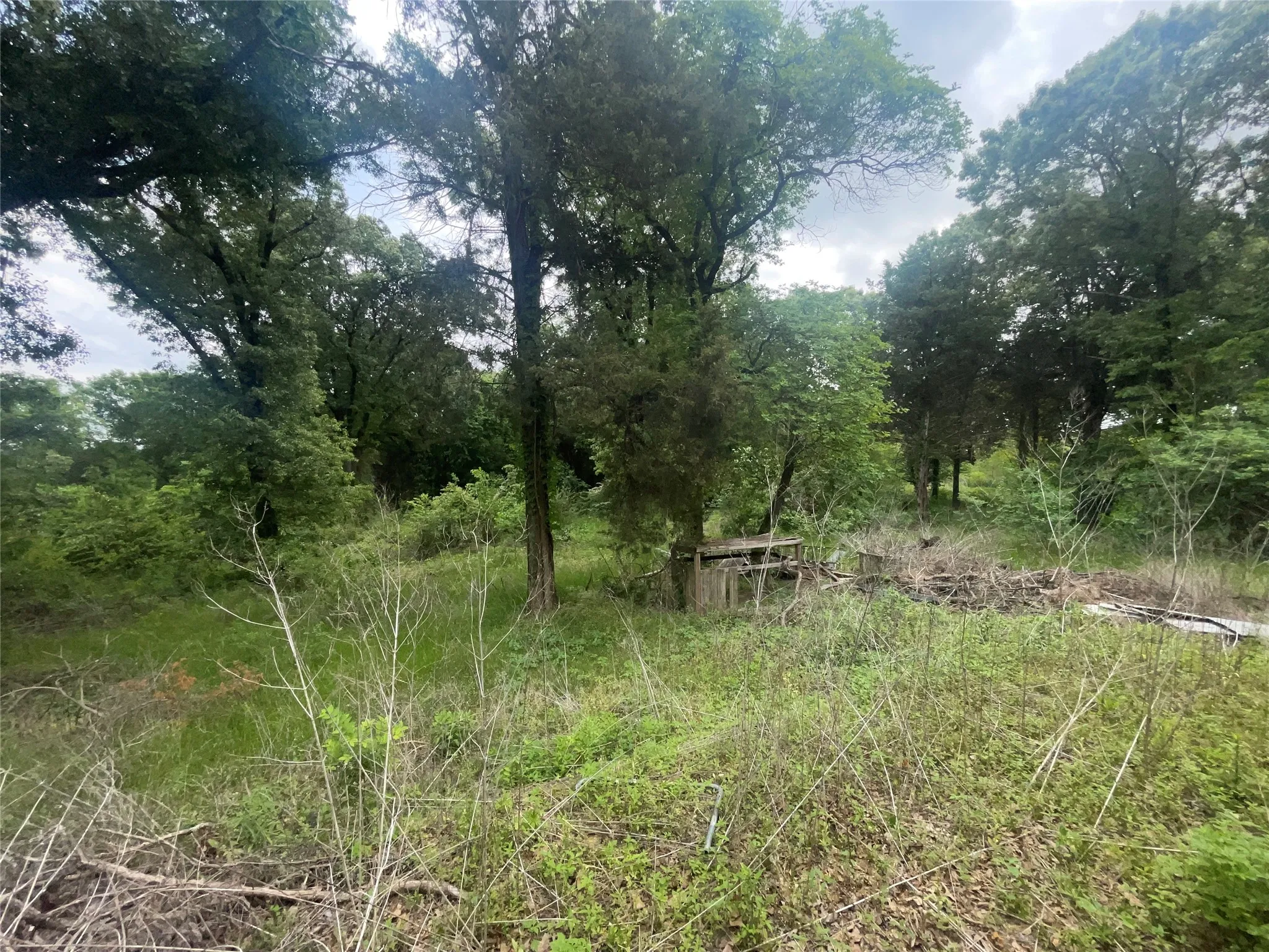 Land