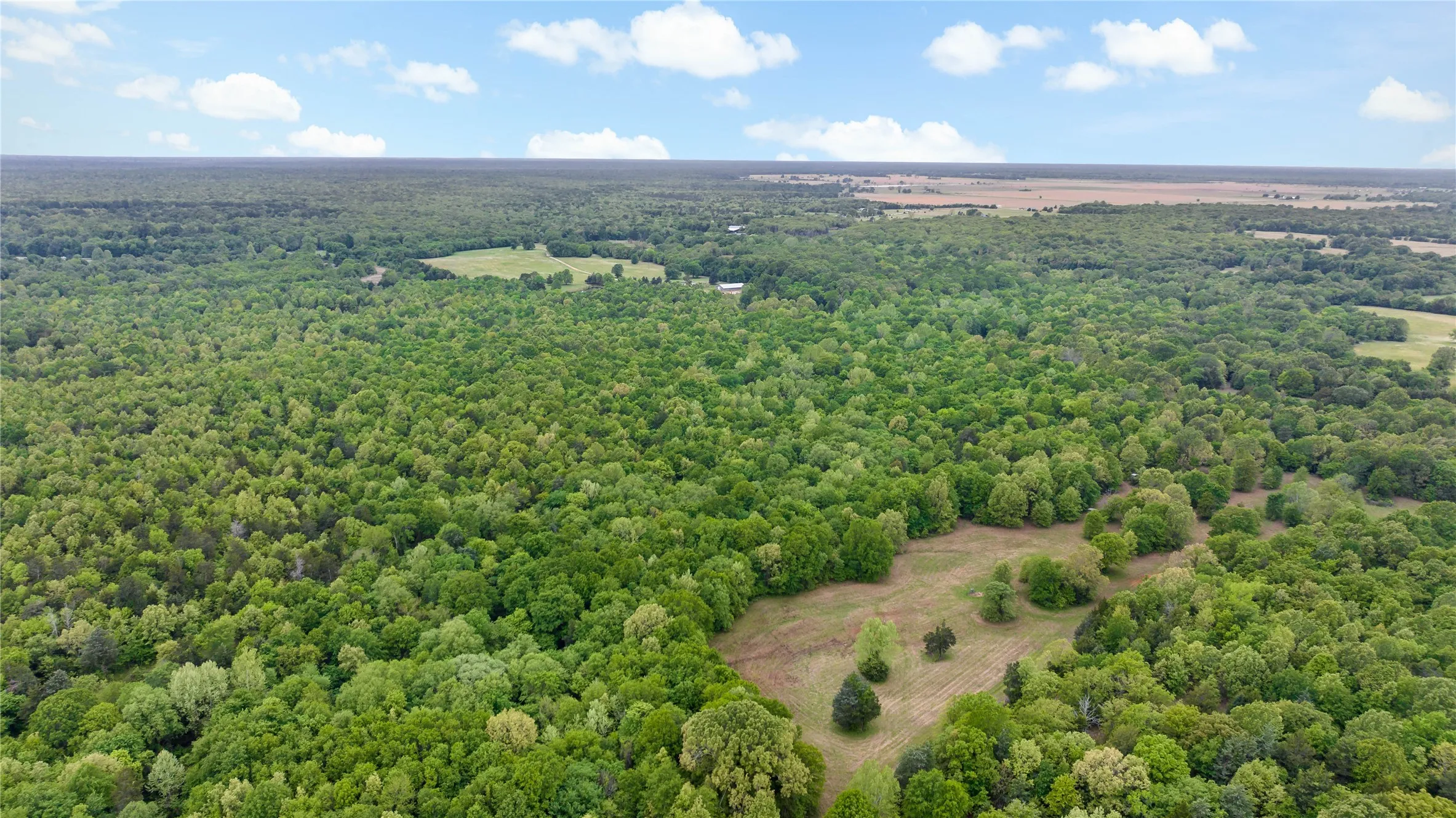 Farm For Sale in Lamar County , 10860 Farm Road 197, Arthur City, Texas 75411, 3 Bedroom, 2 Bathroom, 2 Garage spaces, 1,560 Sqft, built in 2013, Price $3,900,000, mls#21242876, Real Estate Agent in Arthur City, Homes For Sale in Lamar county, Homes For Sale in Arthur City, Realtor in Arthur City Texas, Real Estate Brokerage Independent Realty Texas, Luminita Cordes Realtor