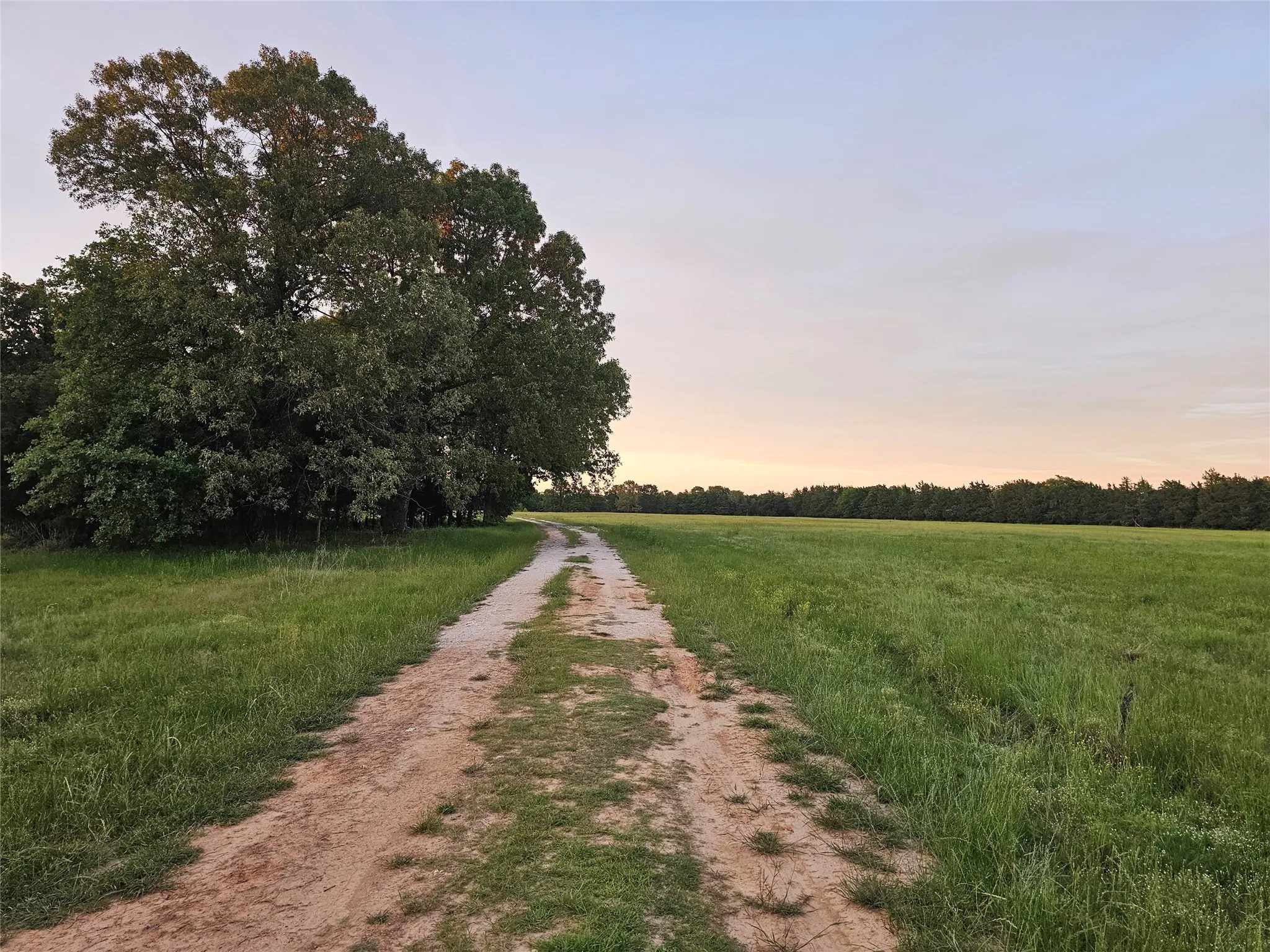 Farm For Sale in Lamar County , 10860 Farm Road 197, Arthur City, Texas 75411, 3 Bedroom, 2 Bathroom, 2 Garage spaces, 1,560 Sqft, built in 2013, Price $3,900,000, mls#21242876, Real Estate Agent in Arthur City, Homes For Sale in Lamar county, Homes For Sale in Arthur City, Realtor in Arthur City Texas, Real Estate Brokerage Independent Realty Texas, Luminita Cordes Realtor
