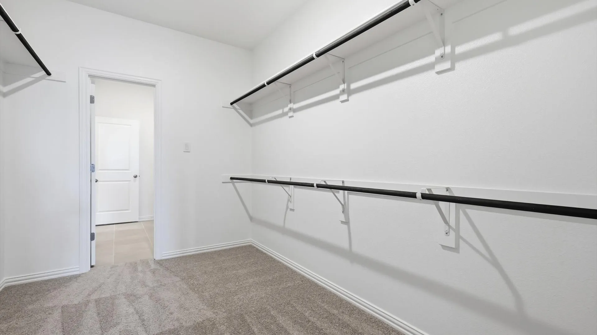 Spacious walk-in closet featuring light gray carpeting, crisp white walls, and built-in white shelving with dark hanging rods
