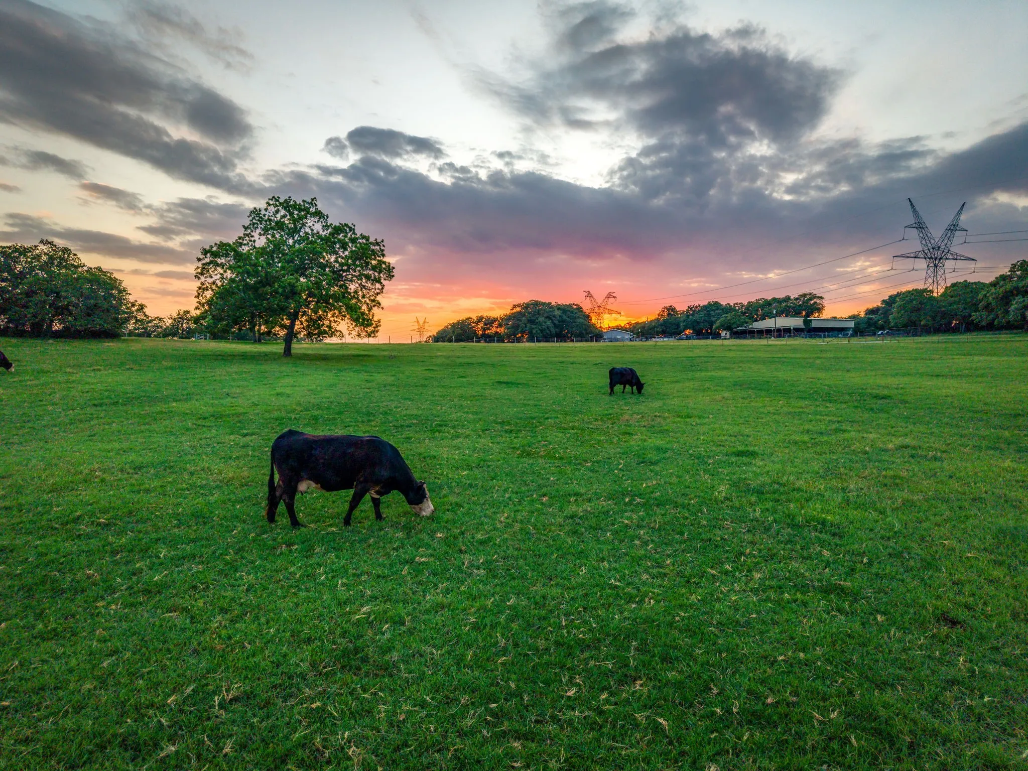 Farm For Sale in Wise County , 141 County Road 4793, Boyd, Texas 76023, 4 Bedroom, 2 Bathroom, 2 Garage spaces, 2,400 Sqft, built in 2000, mls#21242587, Real Estate Agent in Boyd, Homes For Sale in Wise county, Homes For Sale in Boyd, Realtor in Boyd Texas, Real Estate Brokerage Independent Realty Texas, Luminita Cordes Realtor