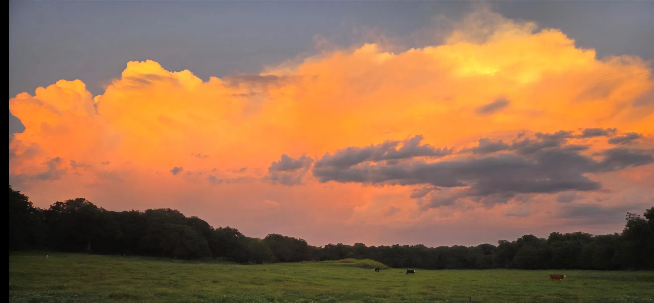 Farm For Sale in Wise County , 141 County Road 4793, Boyd, Texas 76023, 4 Bedroom, 2 Bathroom, 2 Garage spaces, 2,400 Sqft, built in 2000, mls#21242587, Real Estate Agent in Boyd, Homes For Sale in Wise county, Homes For Sale in Boyd, Realtor in Boyd Texas, Real Estate Brokerage Independent Realty Texas, Luminita Cordes Realtor
