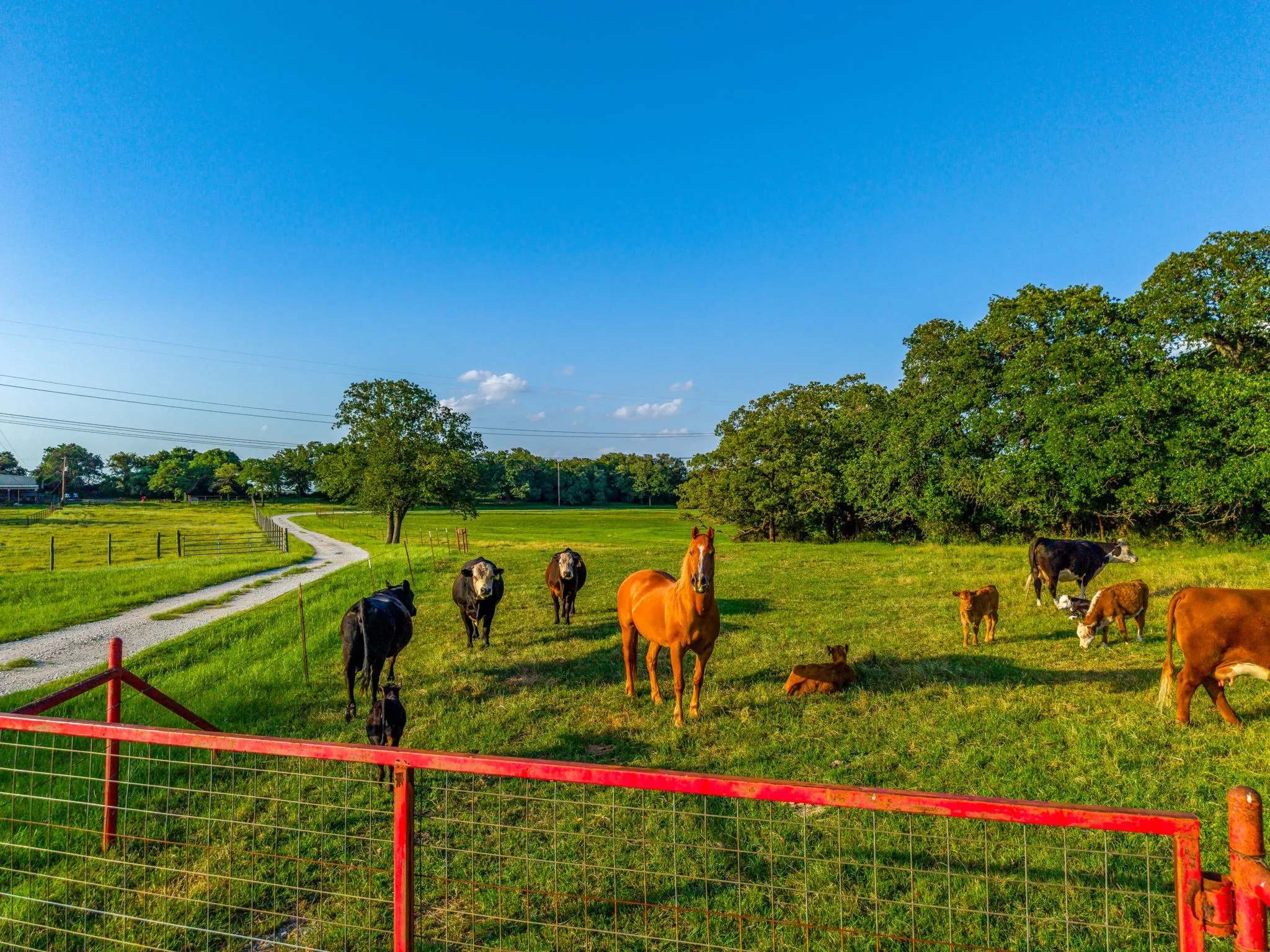 Farm For Sale in Wise County , 141 County Road 4793, Boyd, Texas 76023, 4 Bedroom, 2 Bathroom, 2 Garage spaces, 2,400 Sqft, built in 2000, mls#21242587, Real Estate Agent in Boyd, Homes For Sale in Wise county, Homes For Sale in Boyd, Realtor in Boyd Texas, Real Estate Brokerage Independent Realty Texas, Luminita Cordes Realtor
