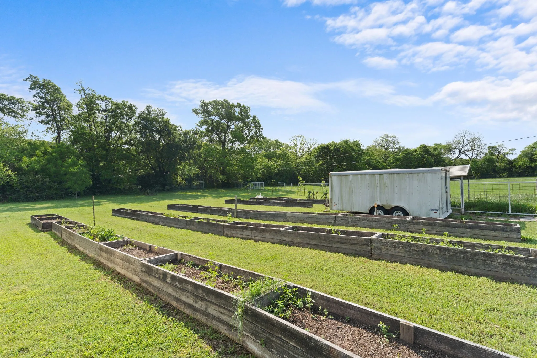 Raised flowerbeds