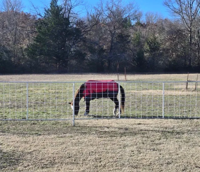Pasture fenced in for livestock